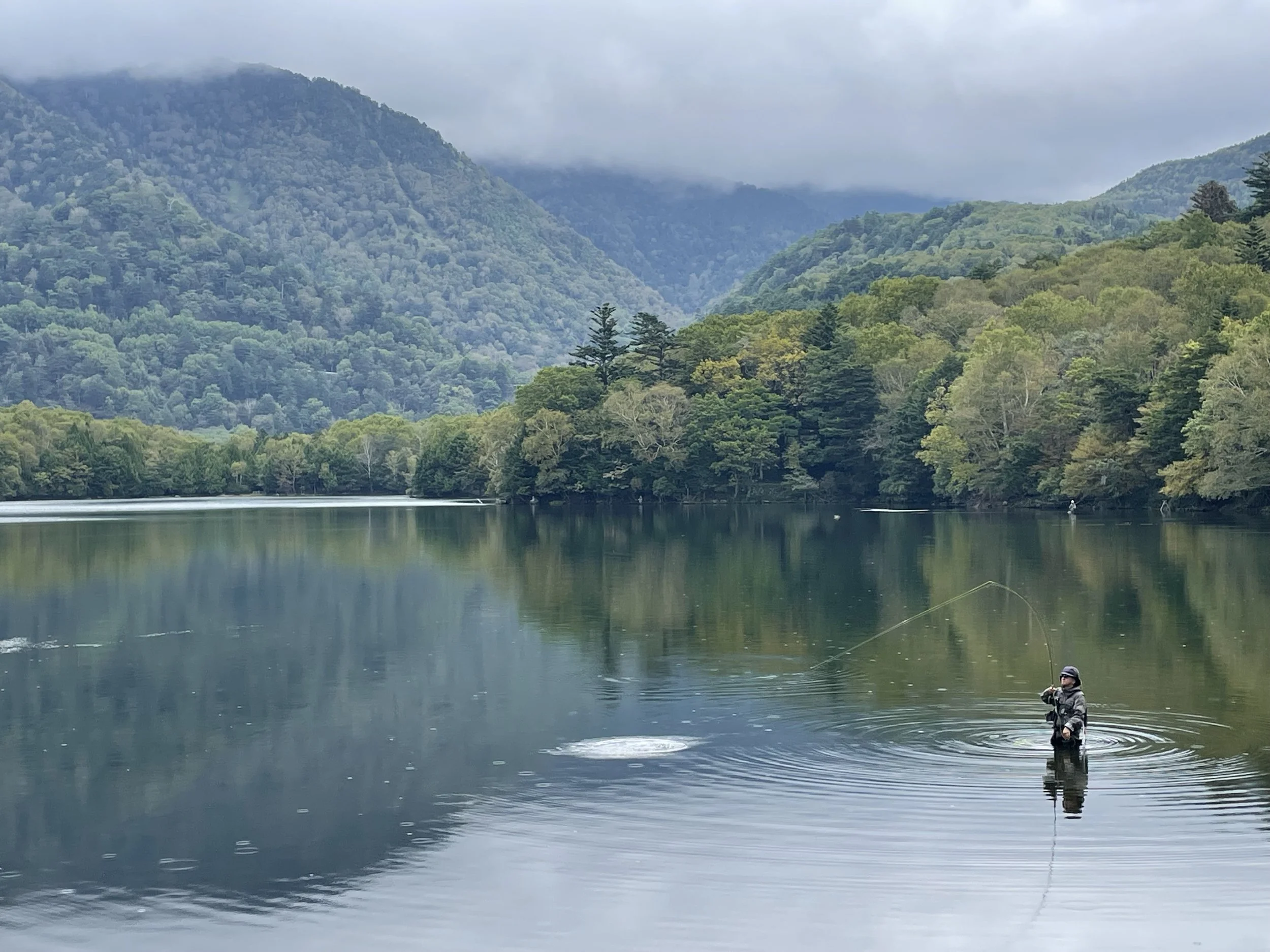 A person fishing in a calm lake surrounded by lush green trees and mountains with cloudy skies.