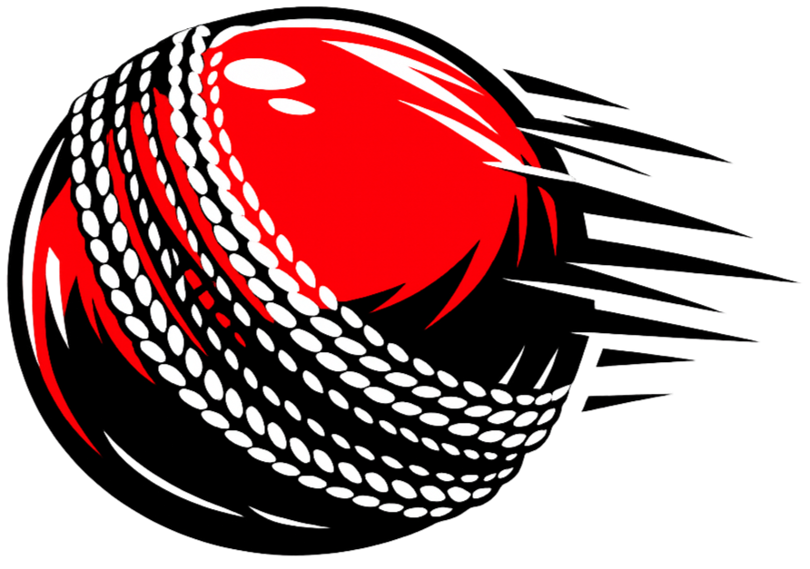 A stylized red and black ball with white oval patterns wrapping around it.