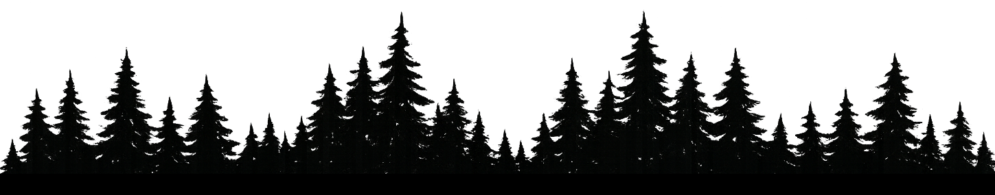 Silhouette of a forest of pine trees against a black background