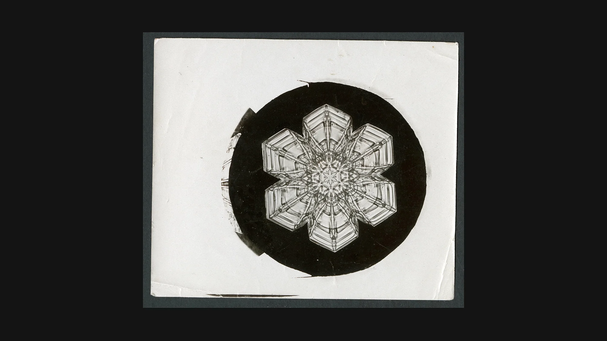 Bentley 1890: Six-pointed stellar snowflake crystal showing intricate symmetrical branches – first successful snowflake photograph.
