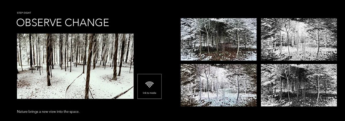 Circle of Trees - Observe Change