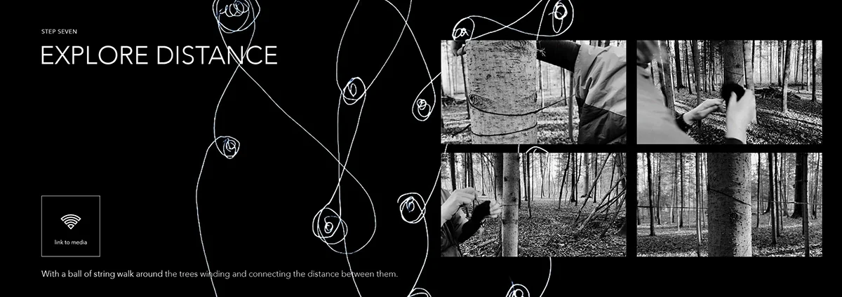Circle of Trees - Explore Distance