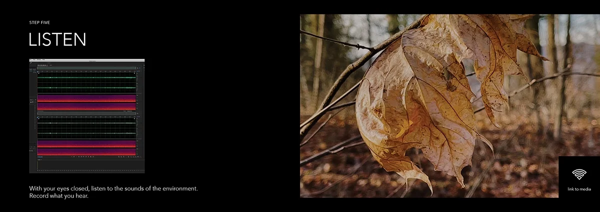 Circle of Trees - Listen