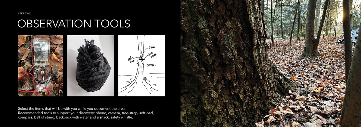 Circle of Trees - Observation Tools