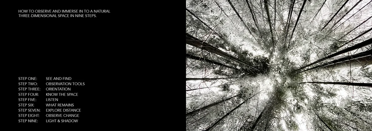 Circle of Trees - Nine Steps to Observe a Forest