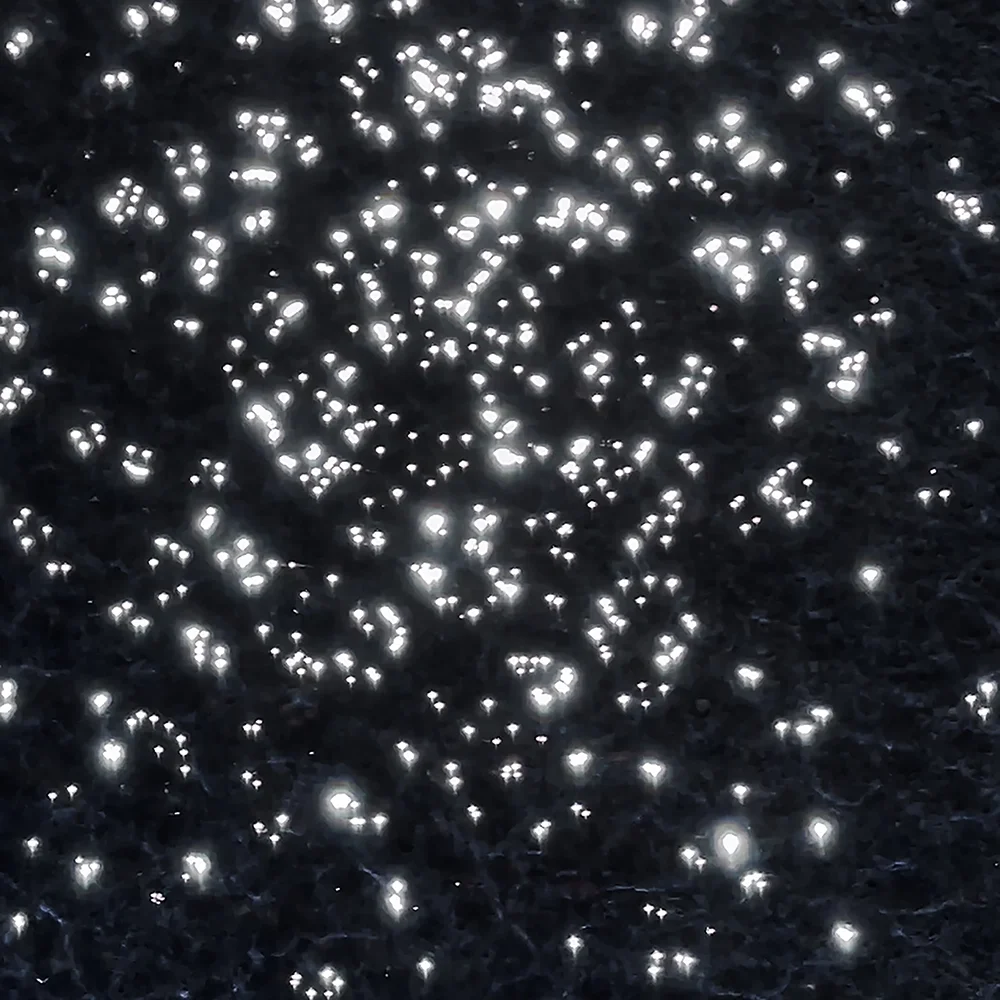 Sunlight sparkles scattered across a dark water surface — Transcendental, the recognition of the extraordinary within the ordinary.