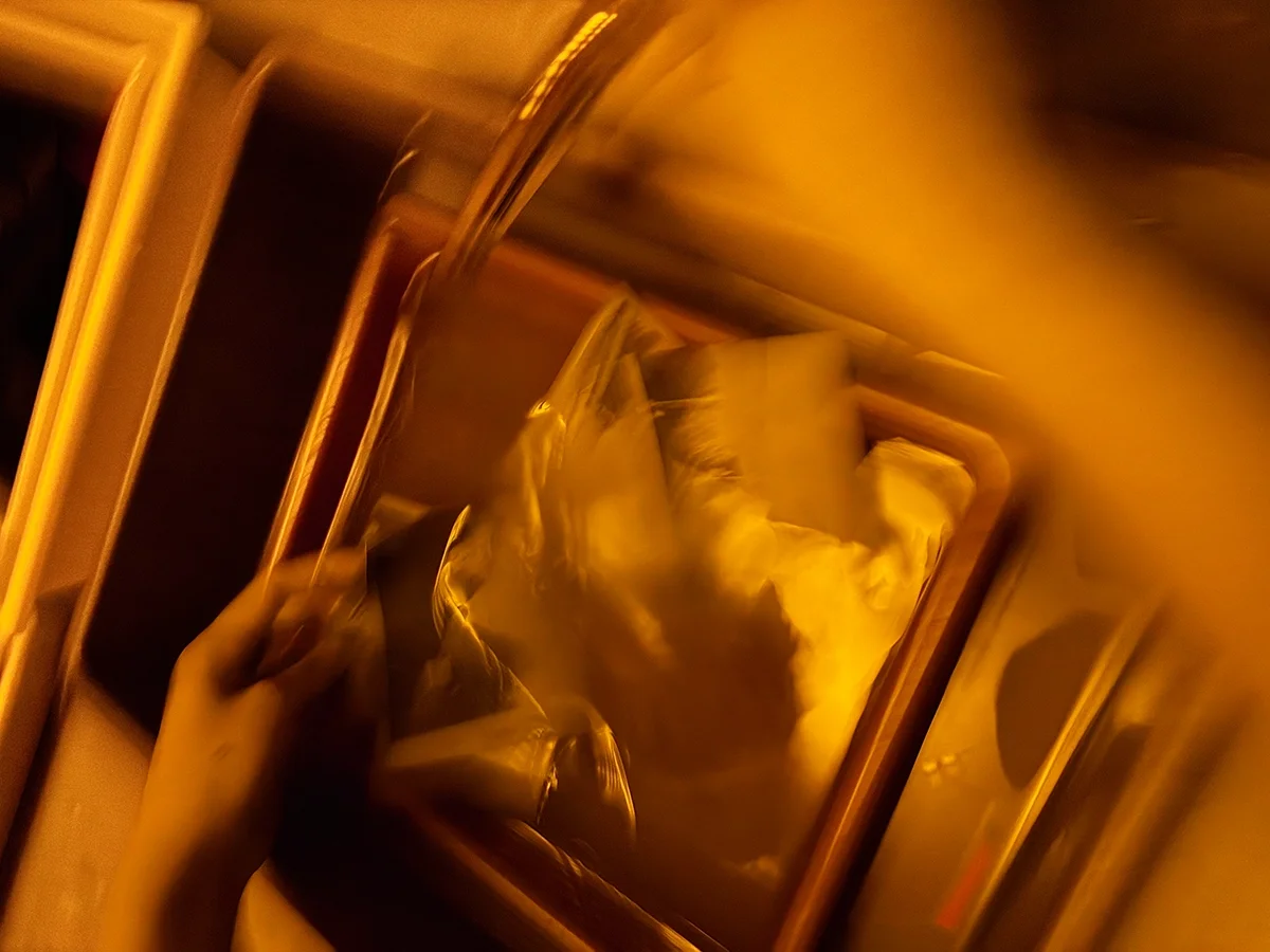 A hand reaches into a developing tray under amber darkroom safelight — a photograph emerging in plant-based practice.