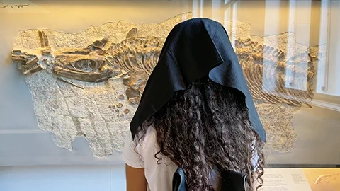 A museum visitor uses the Experience Enhancer to look closely at a fossil exhibit — the device's black cloth removing peripheral distraction.
