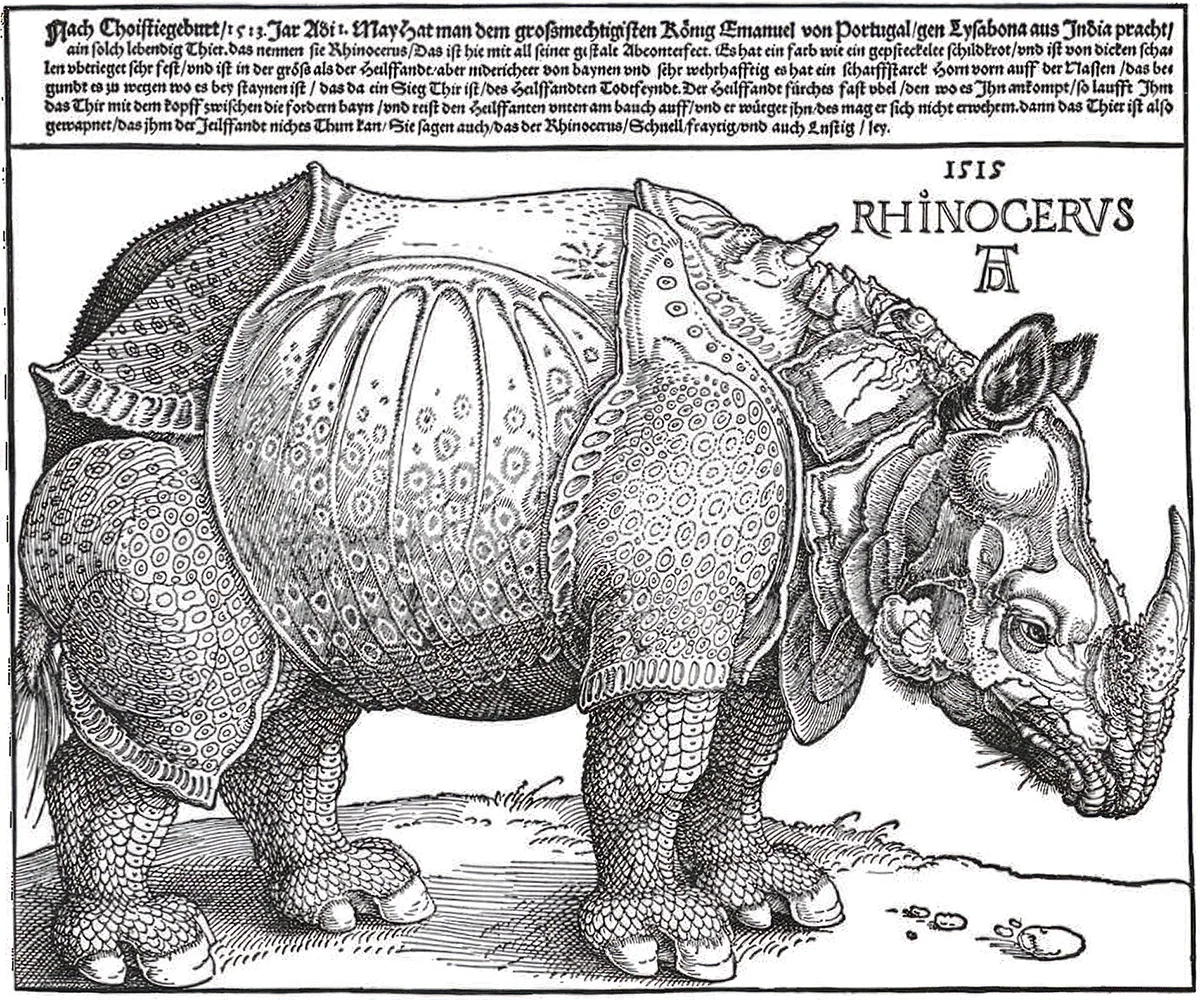 Albrecht Dürer, 1515: "Rhinocervs" woodcut of an Indian rhinoceros that arrived in Lisbon — drawn from a sketch and a written description, never the animal itself.