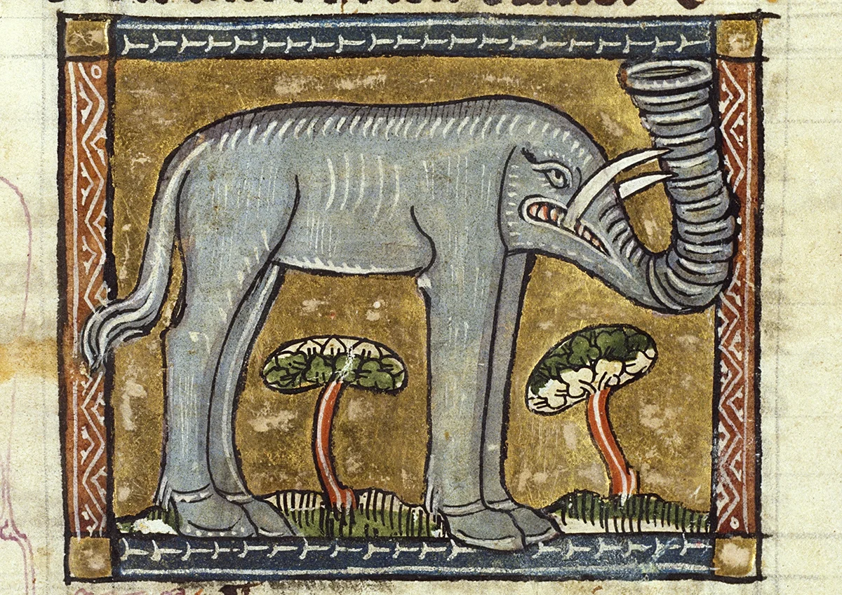 Elephas (c. 1350): a medieval illustration of an elephant from Jacob van Maerlant's "Der naturen bloeme" — detailed, confident, and wrong. Koninklijke Bibliotheek, KA 16, fol. 54r.