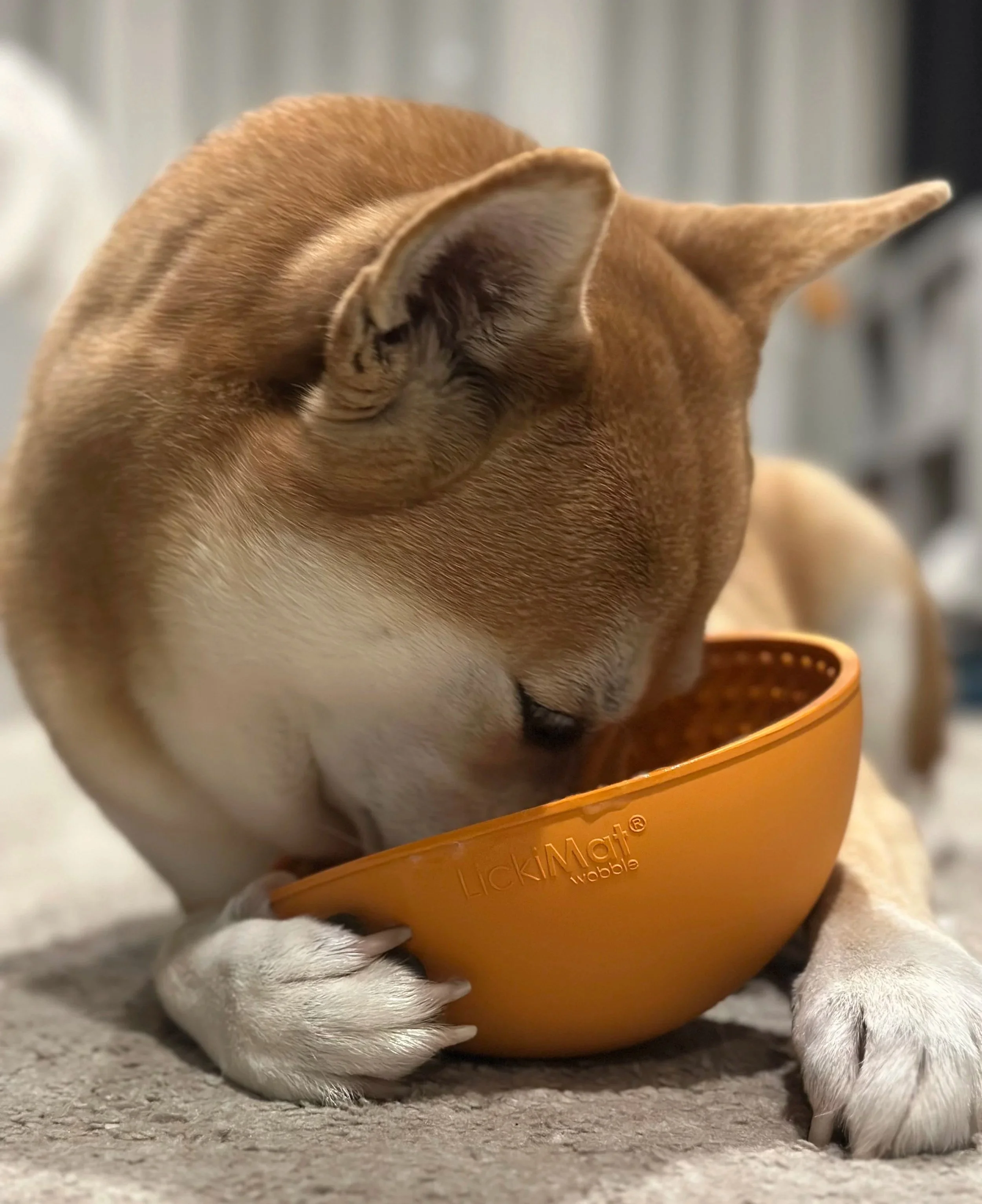 When the bowl stays full