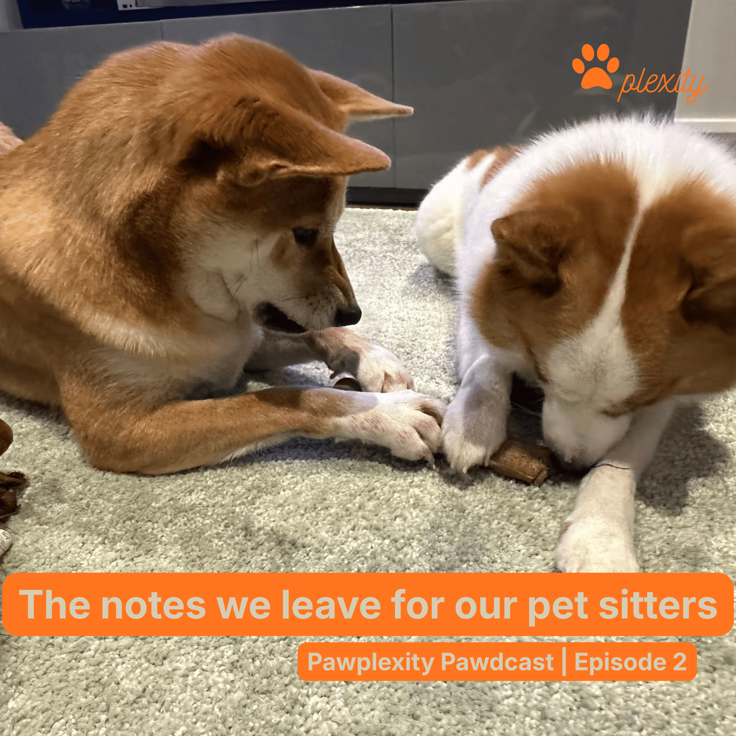 E2: The instructions we leave for our pet sitters