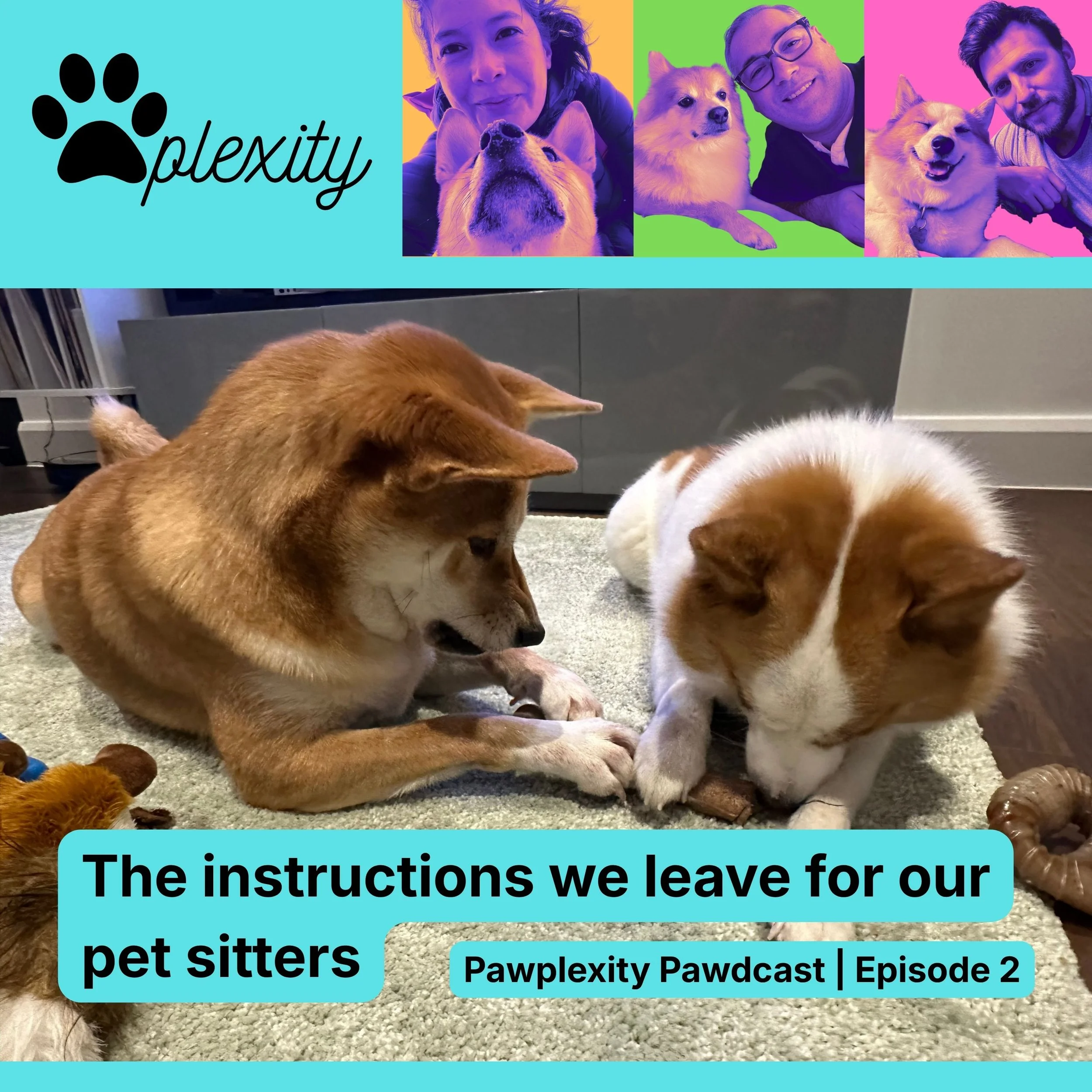 E2: The instructions we leave for our pet sitters