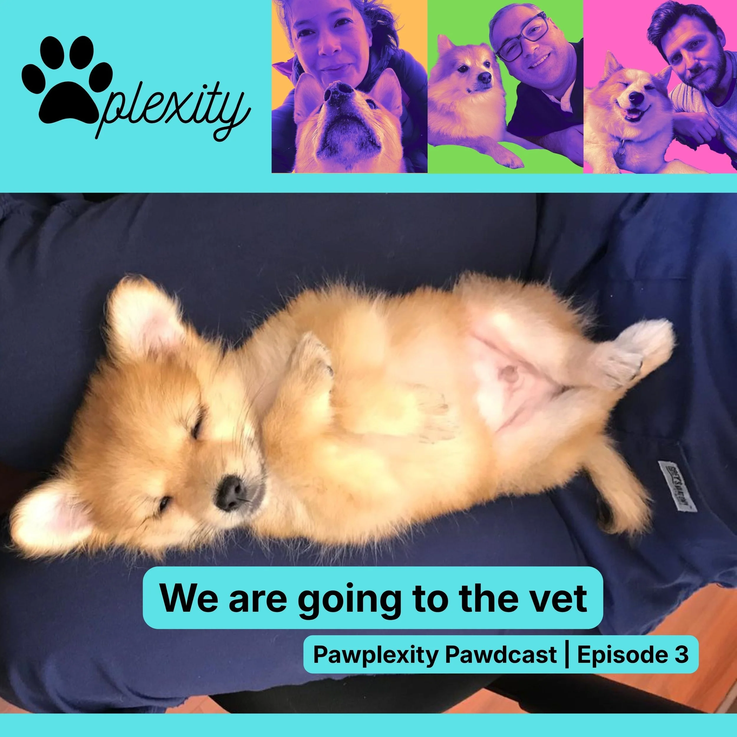 E3: We are going to the vet