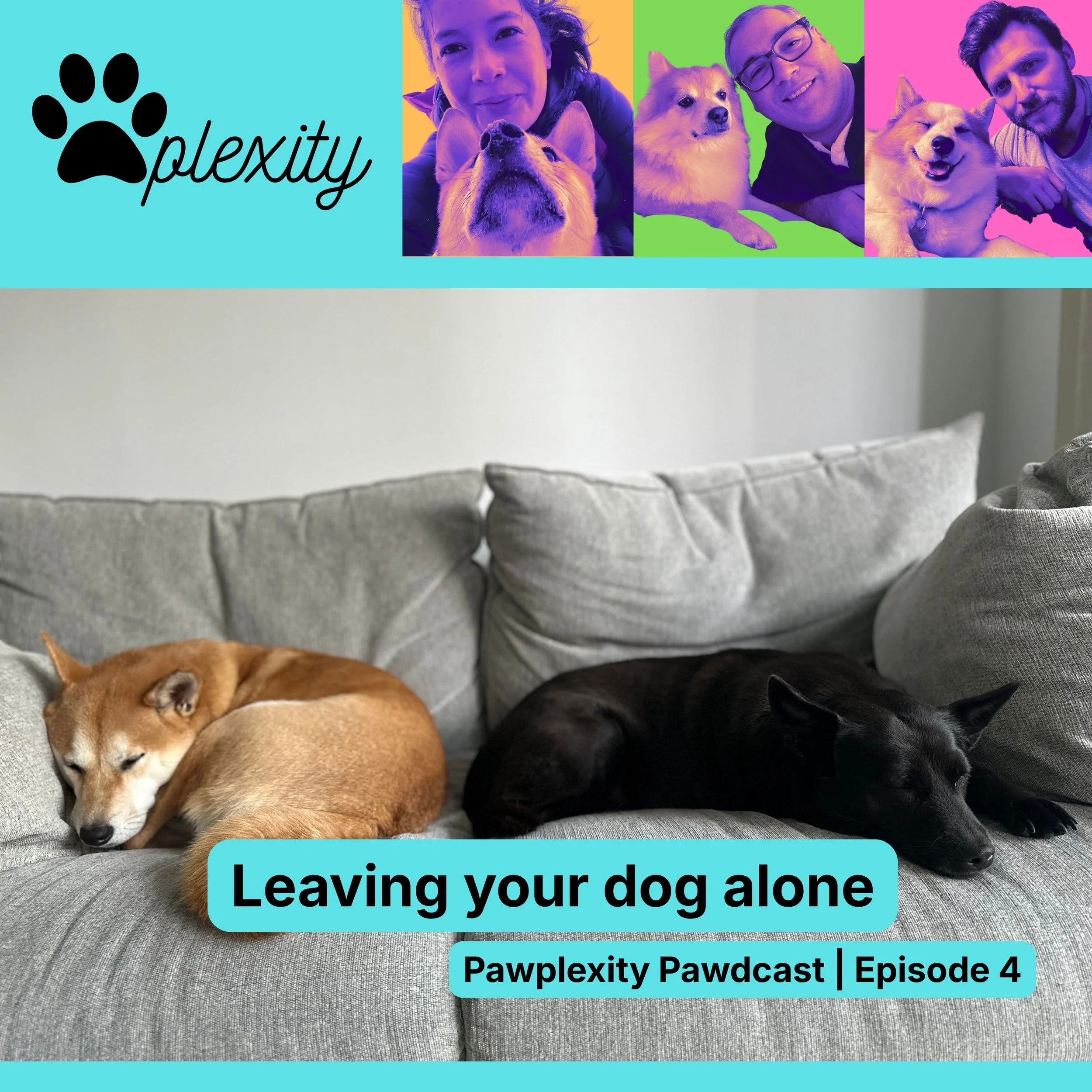 E4: Leaving your dog alone