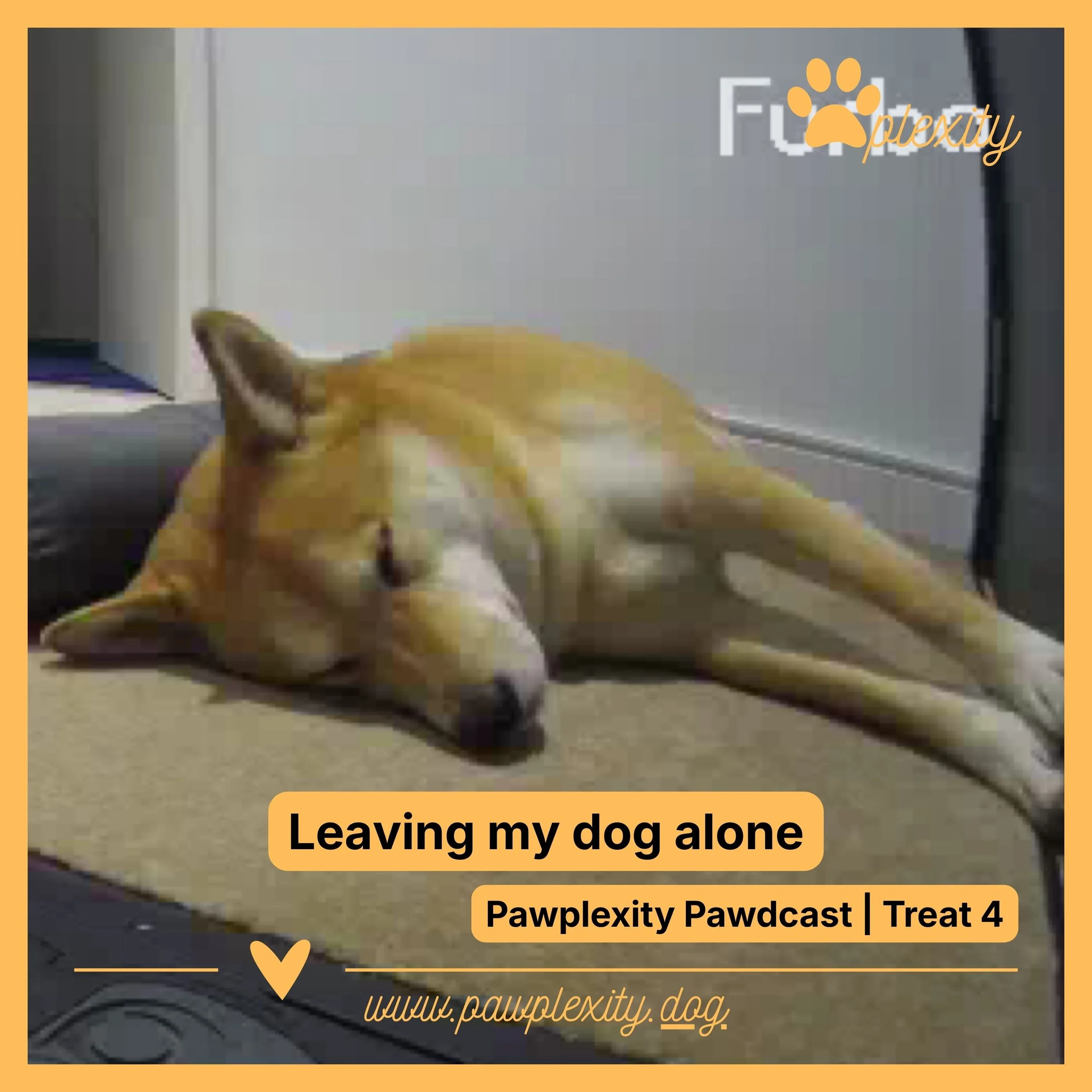 Learning to leave