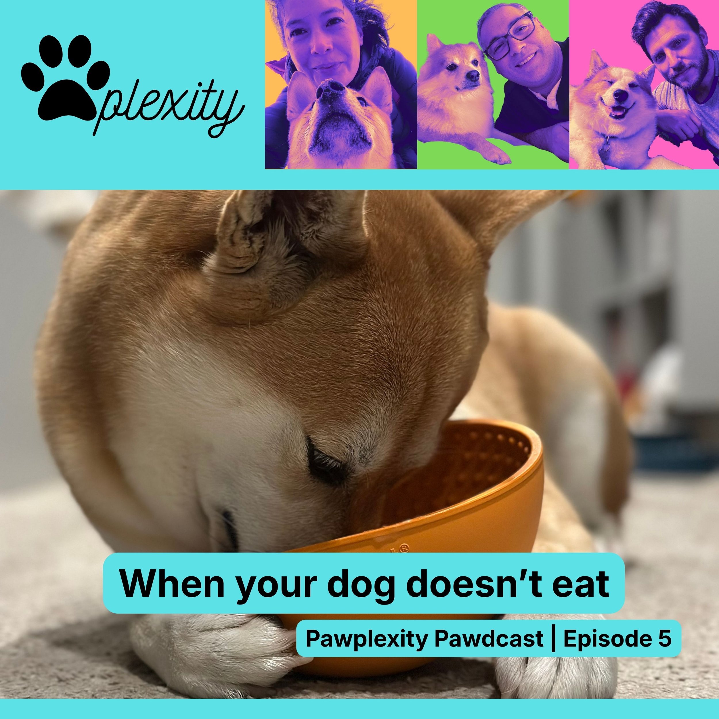 E5: When your dog doesn’t eat