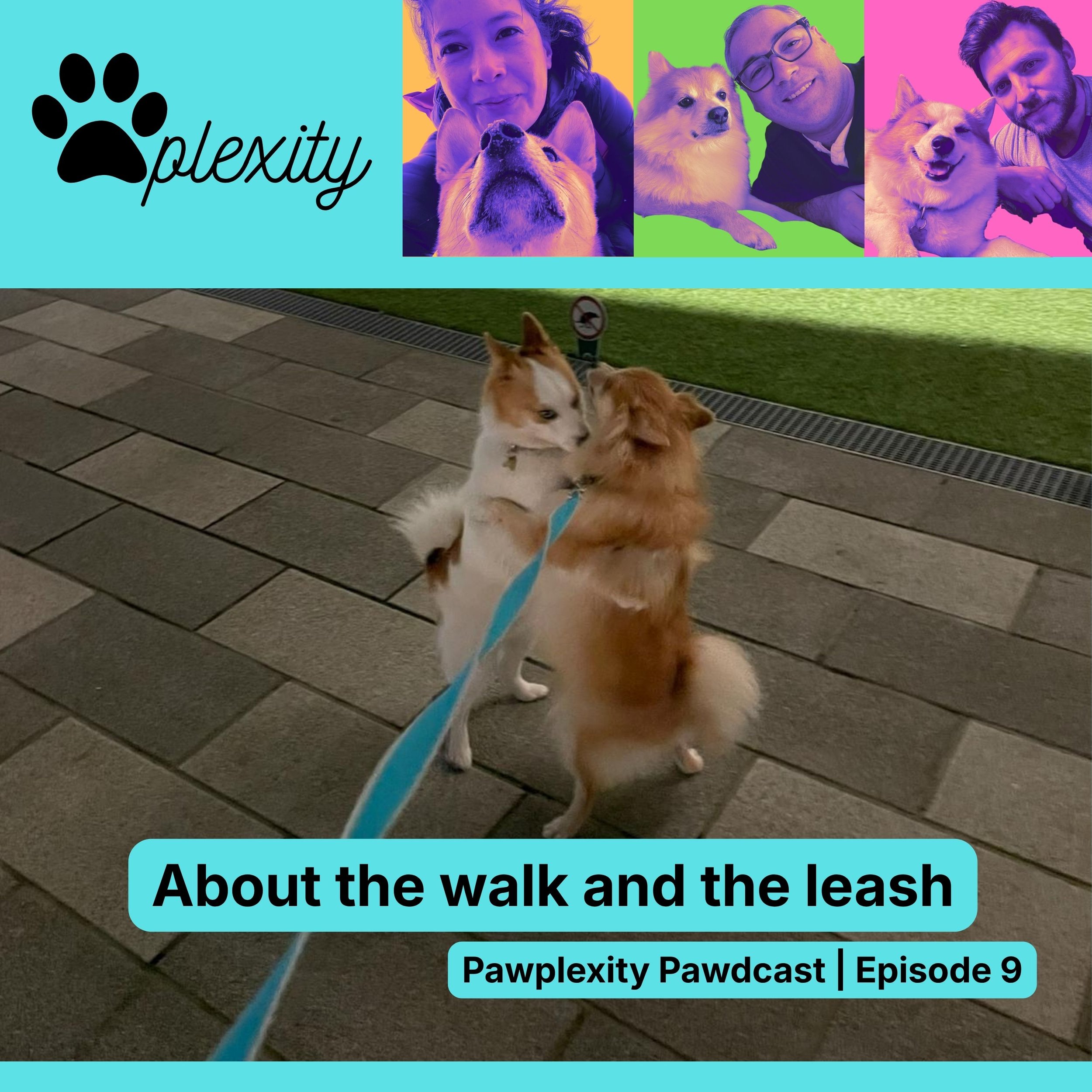 E9: About the walk and the leash