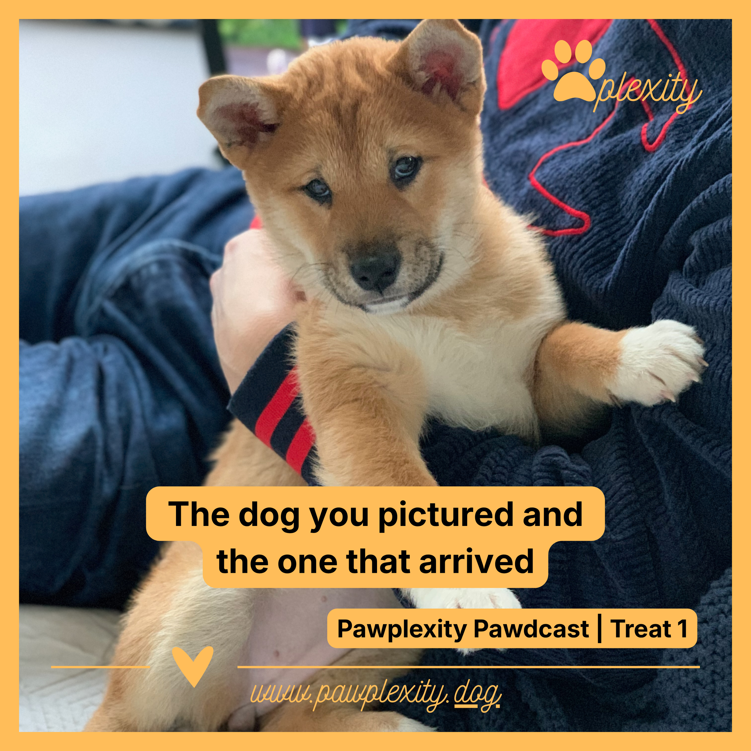 T1: The dog you pictured and the one that arrived
