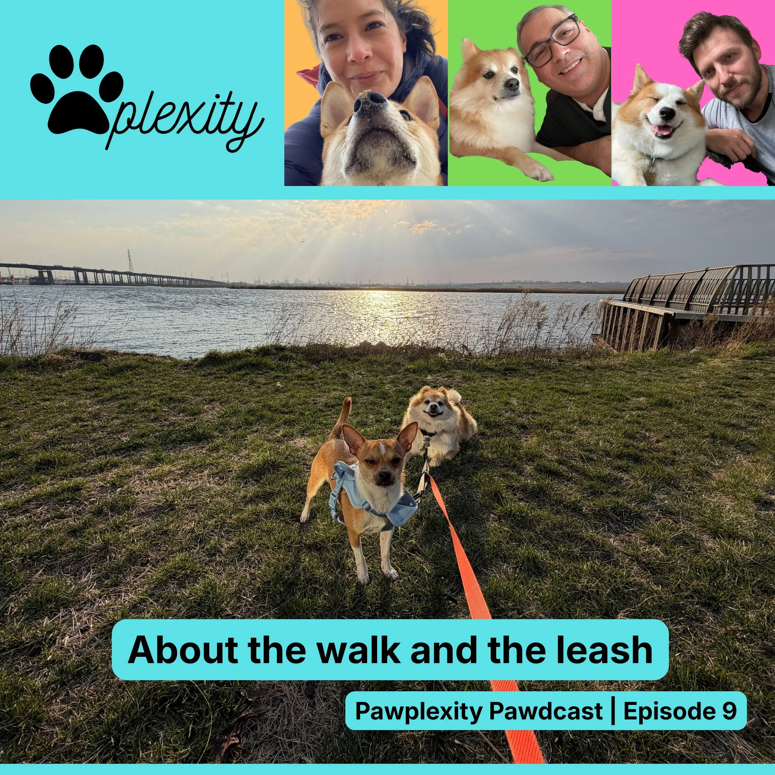 E9: About the walk and the leash