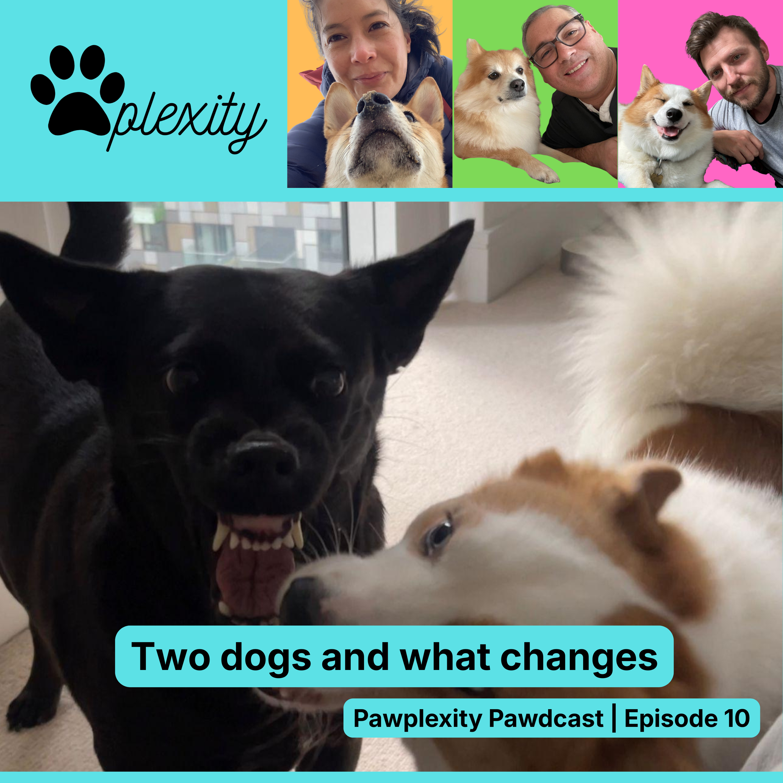 E10: Two dogs and what really changes