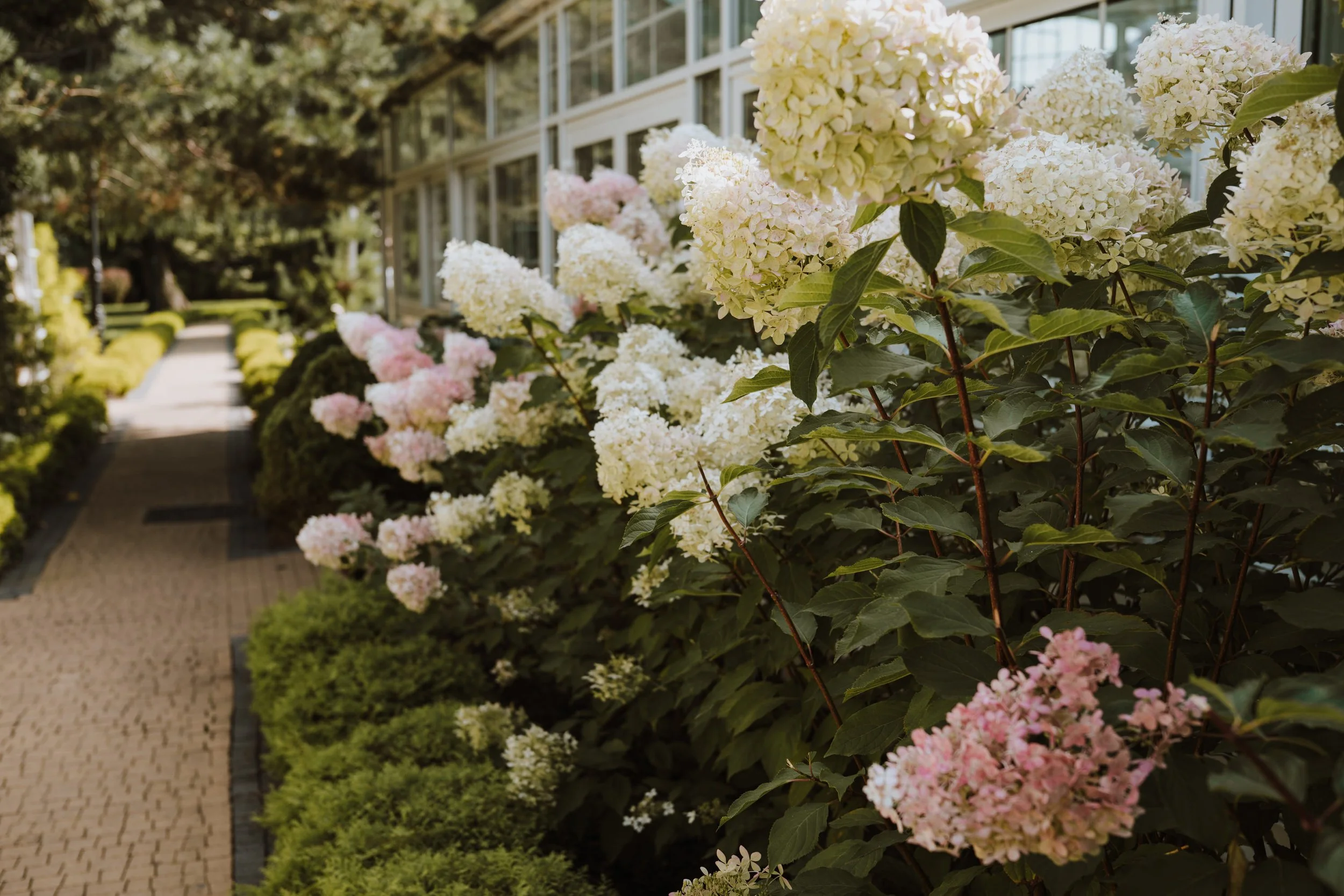 Alicja i Rafał 06.09.2025 004.jpg