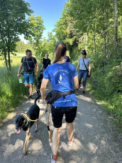 Social Walk Buchloe