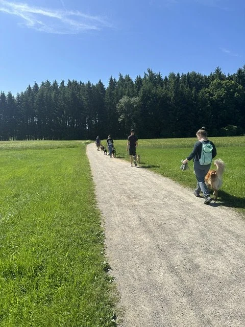 Social Walk Schwabmünchen