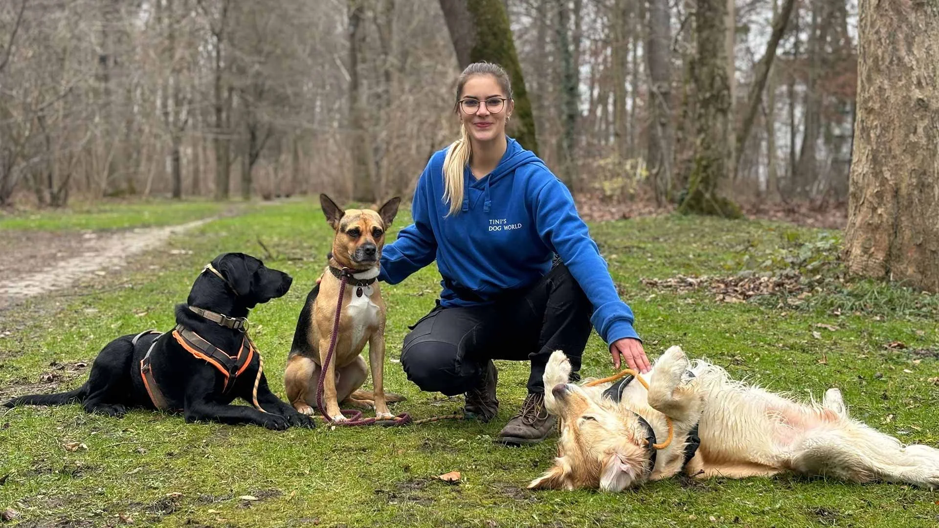Frau mit vier Hunden im Wald, einige liegen, einige sitzen, bei nassem Wetter, im Hintergrund Bäume