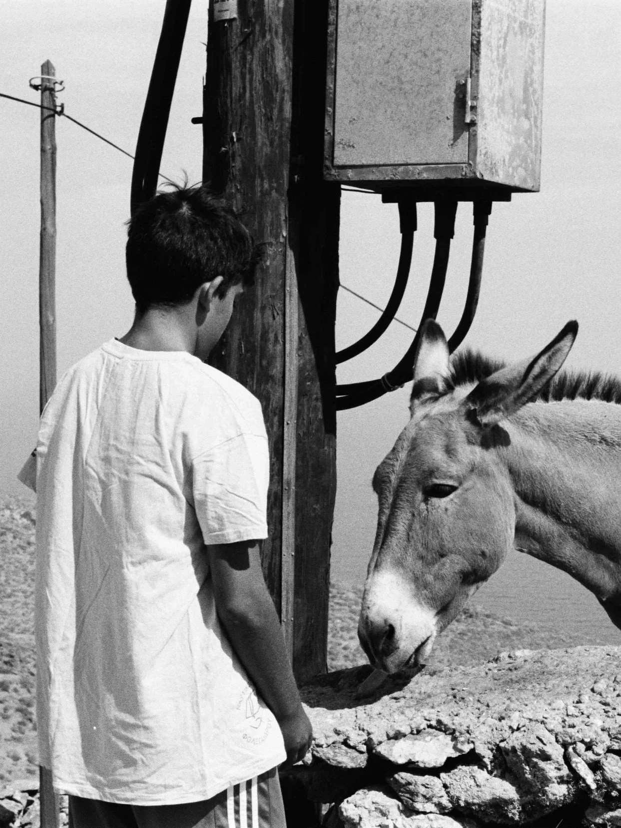 Analog Sparks Bronze Winner, 2025