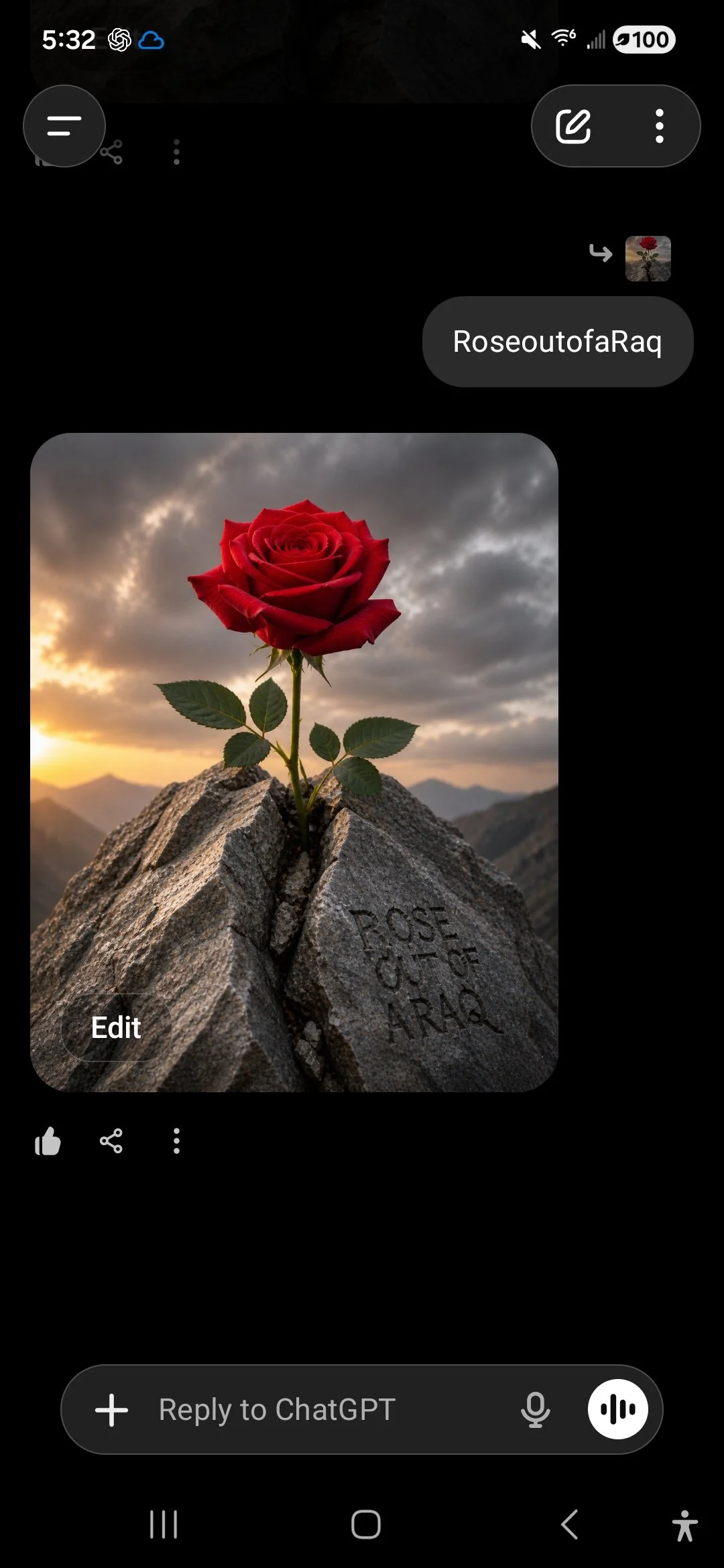 Rose out of a Raq LLC