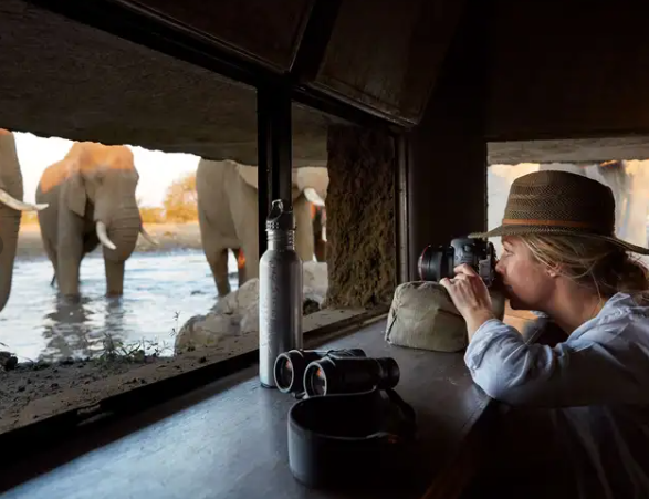 Singita Pamushana, Malilangwe Wildlife Reserve - Zimbabwe