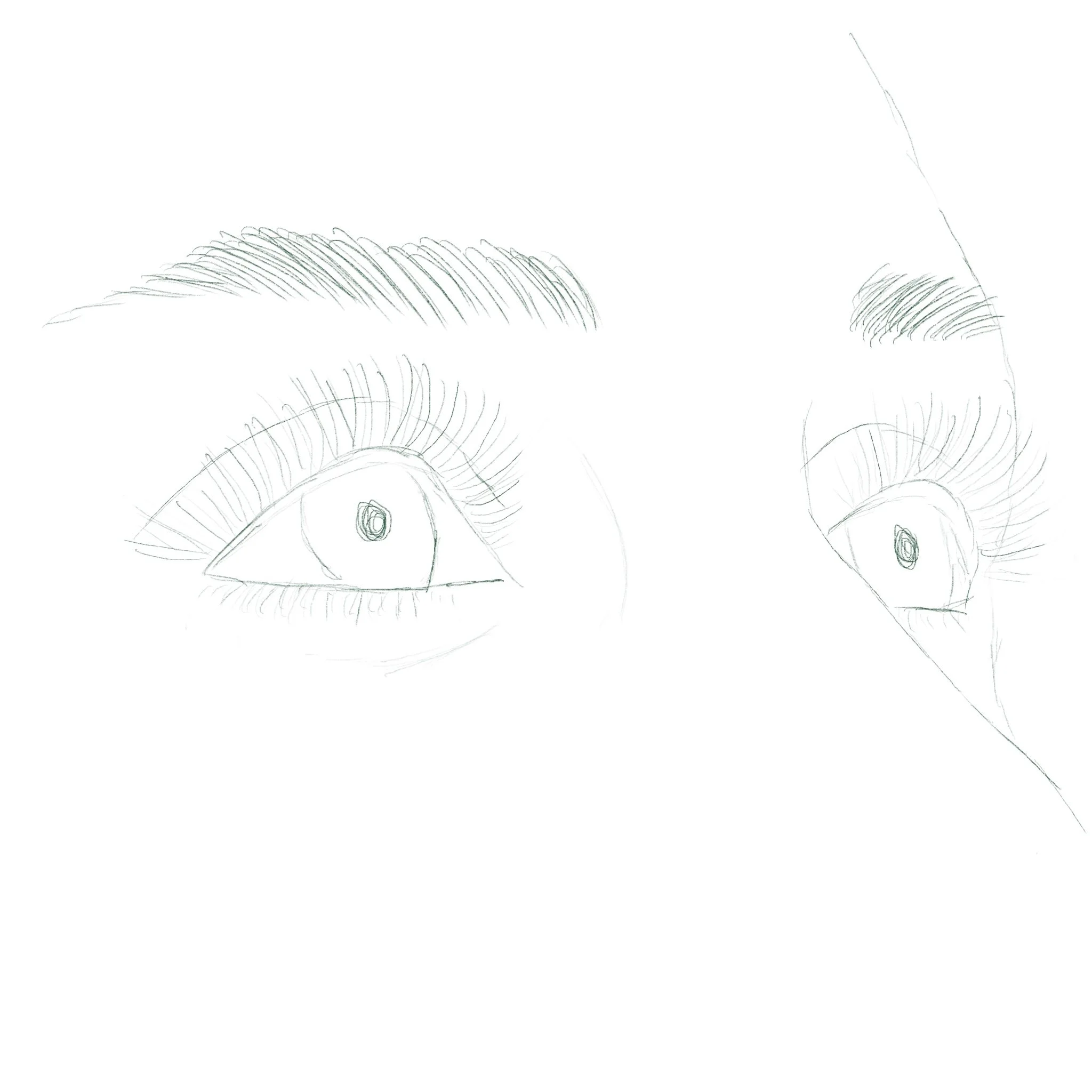 Sketch of two human eyes with eyelashes, one in front view and one looking sideways.