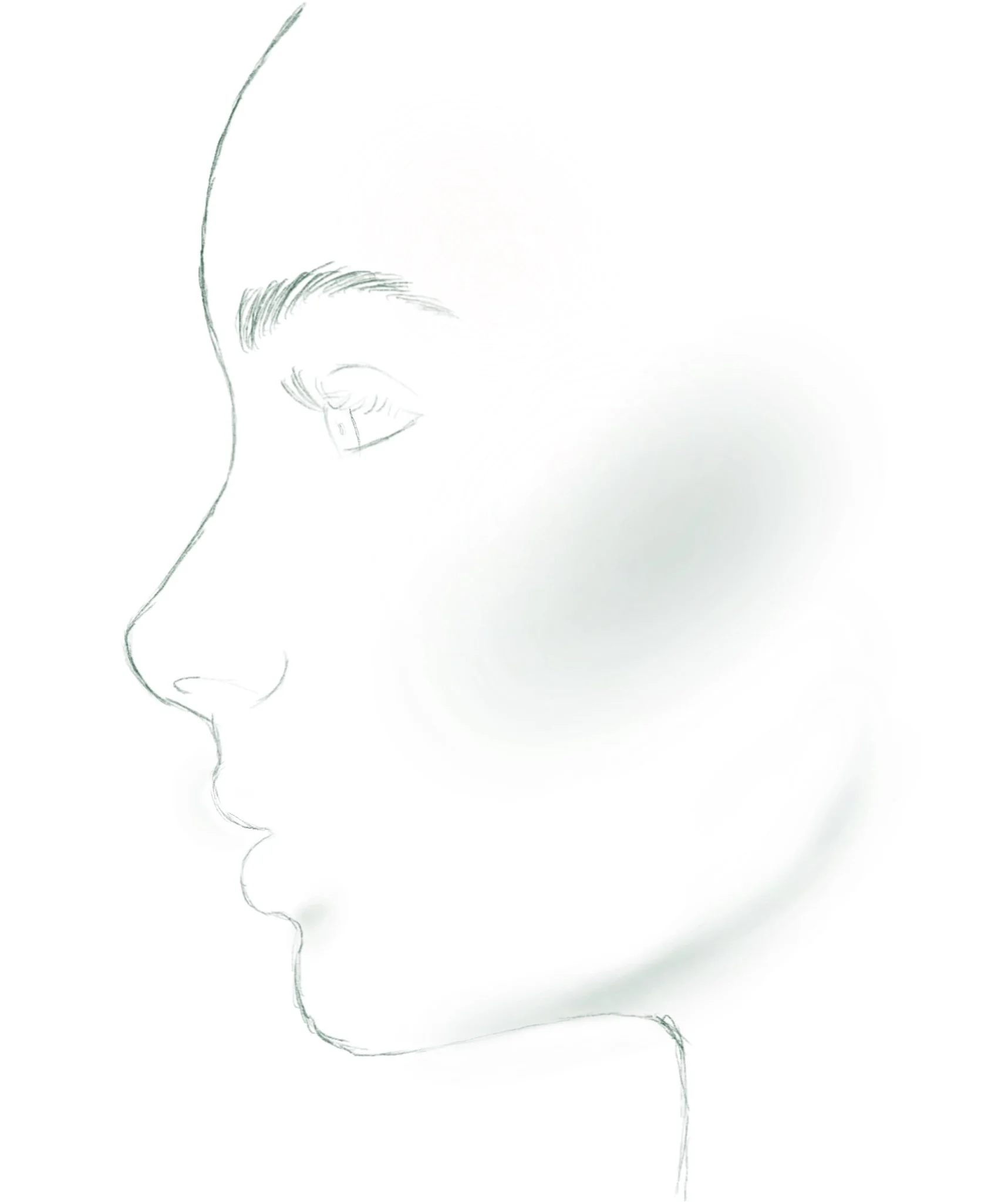 Line drawing of a woman in profile profile view with detailed eye, eyebrow, and lips.
