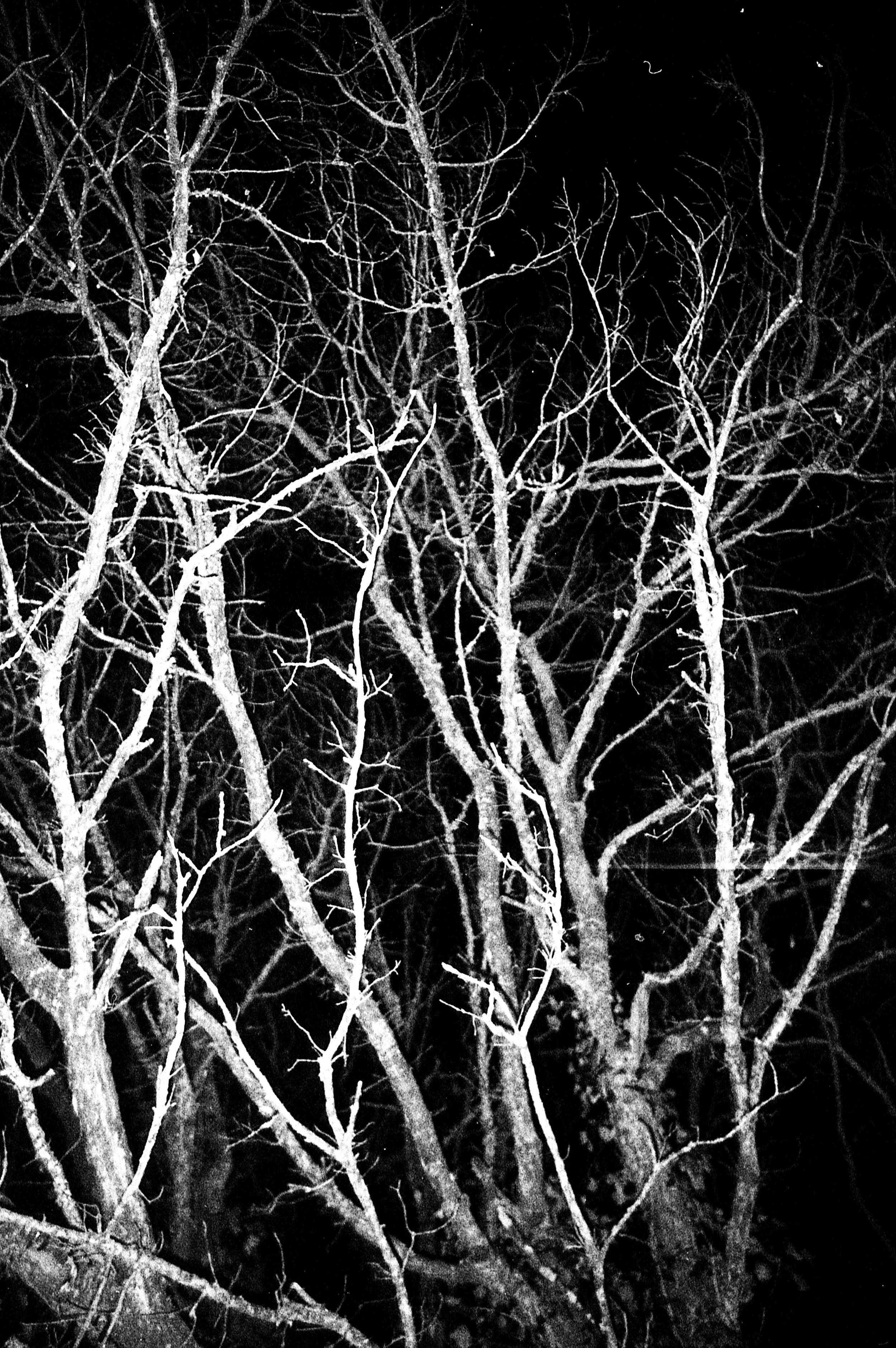 DJE FEVRIER 21265.jpg