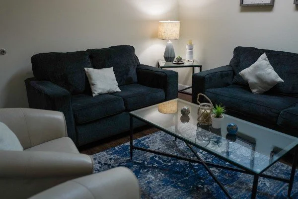 Systemic solutions living room with two navy blue sofas, white pillows, a glass coffee table, a beige armchair, a side table with a table lamp, and decorative items including vases and plants.