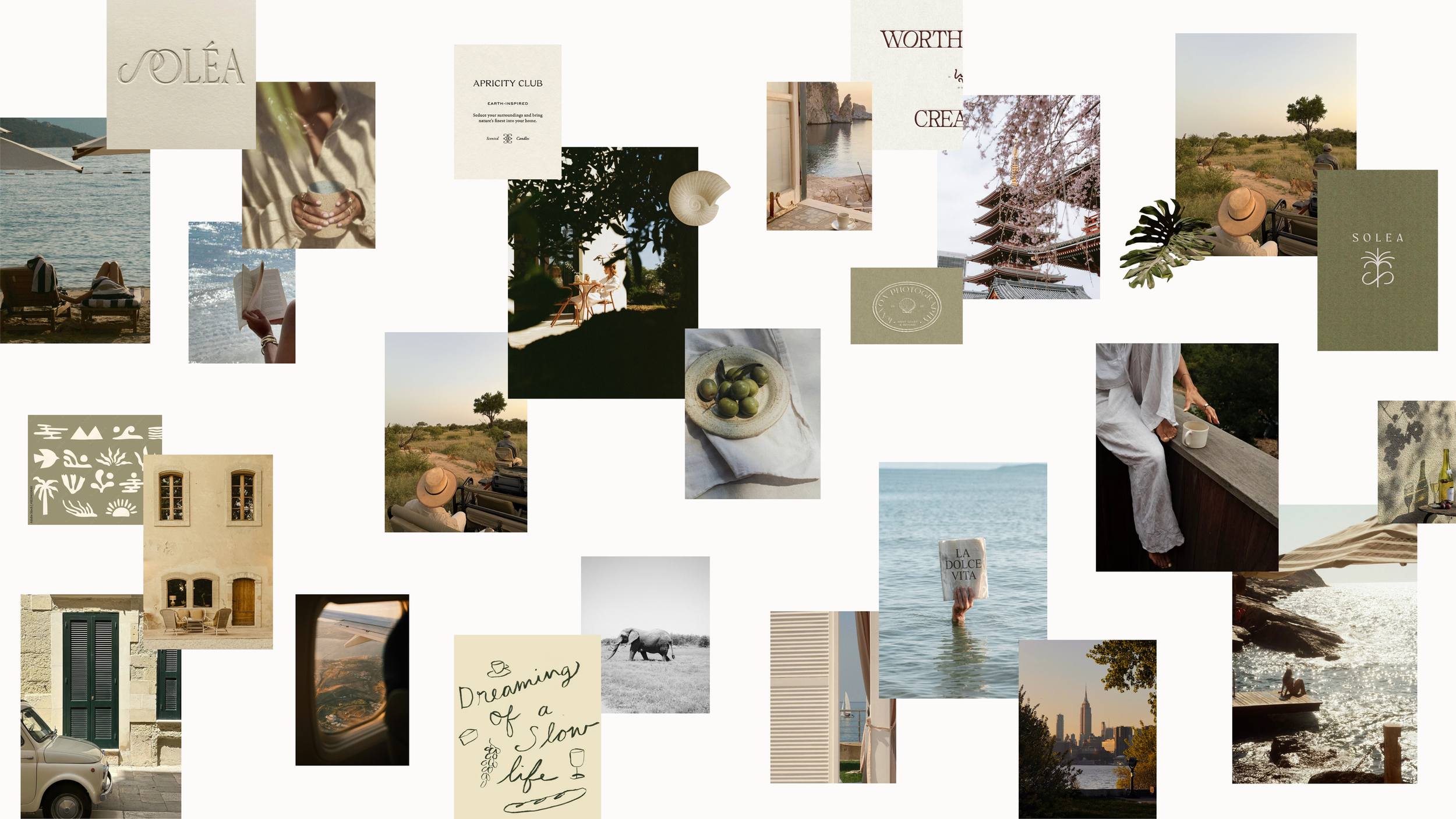 Wander by Meg Brand Presentation.png