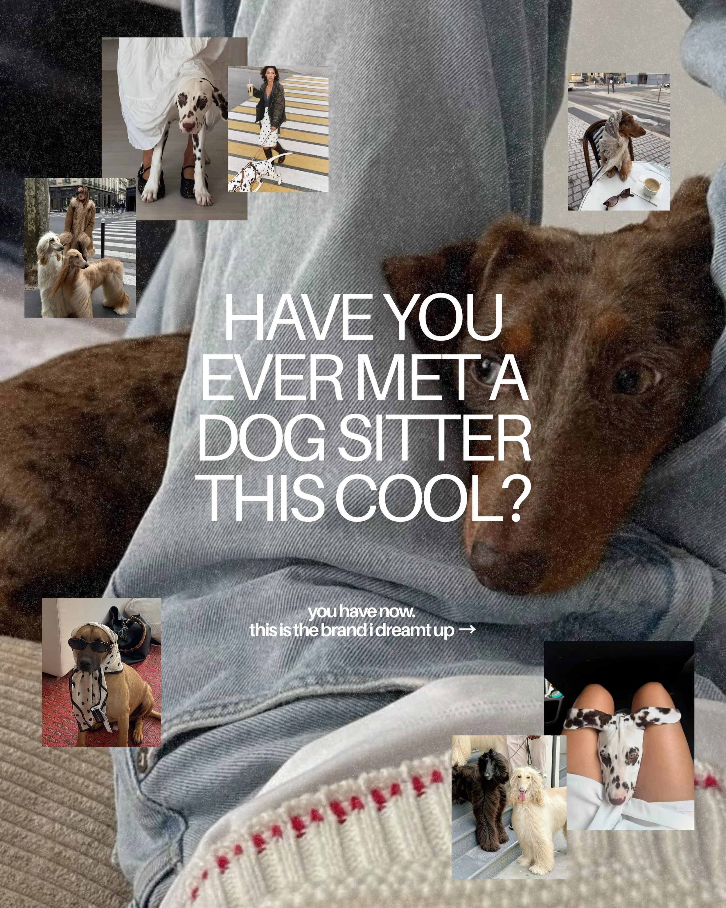 who said a dog sitter has to look like a dog sitter? 🐩

one of my favourite things about branding is taking an idea and asking,&nbsp;what if we didn&rsquo;t make it look like everything else in this industry?

for this hypothetical dog-sitting brand