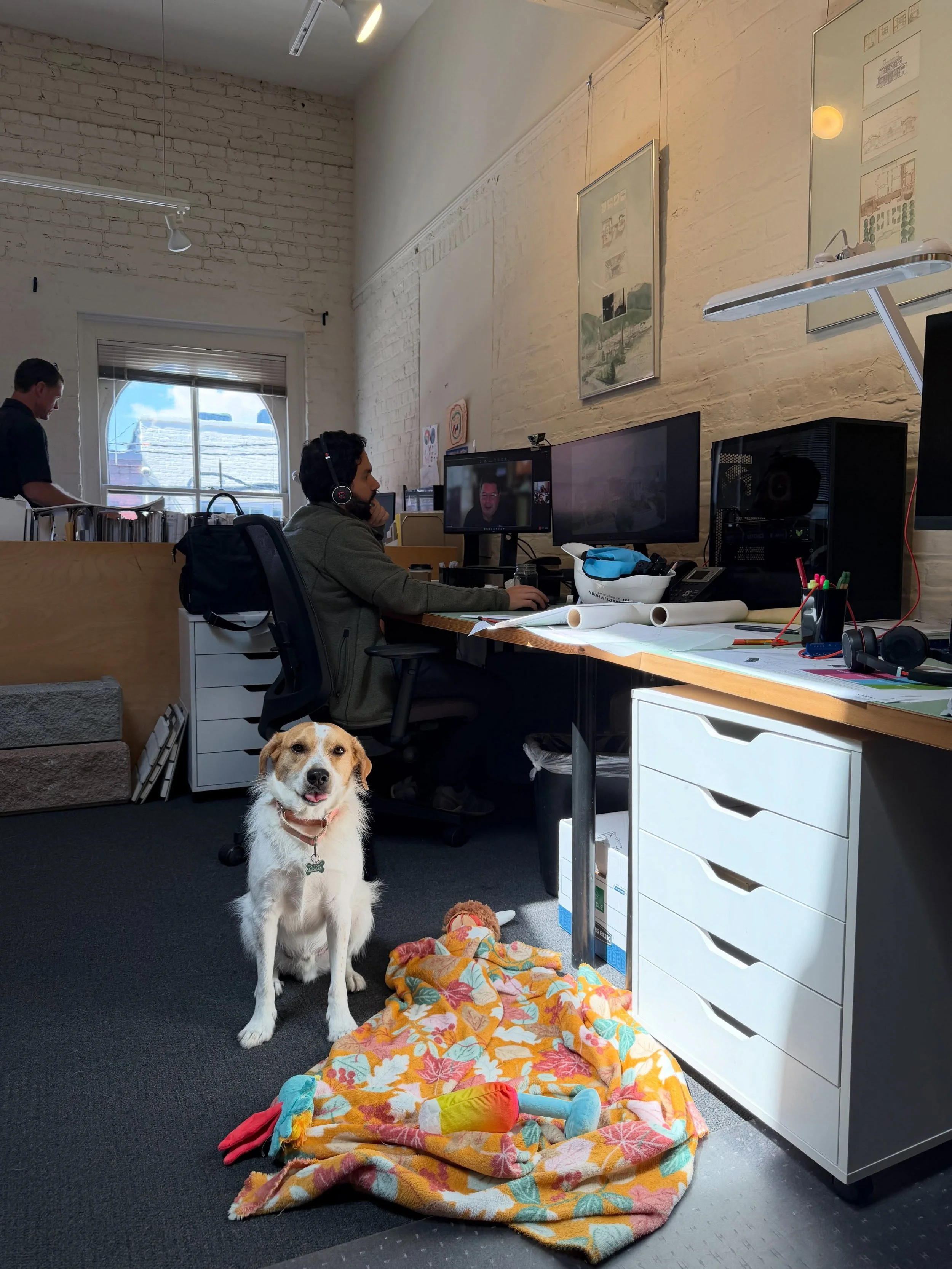 Best way to beat the blues in the Dog Days of summer? Bring the pups into the office!! #furinthefirm #architecturefurm