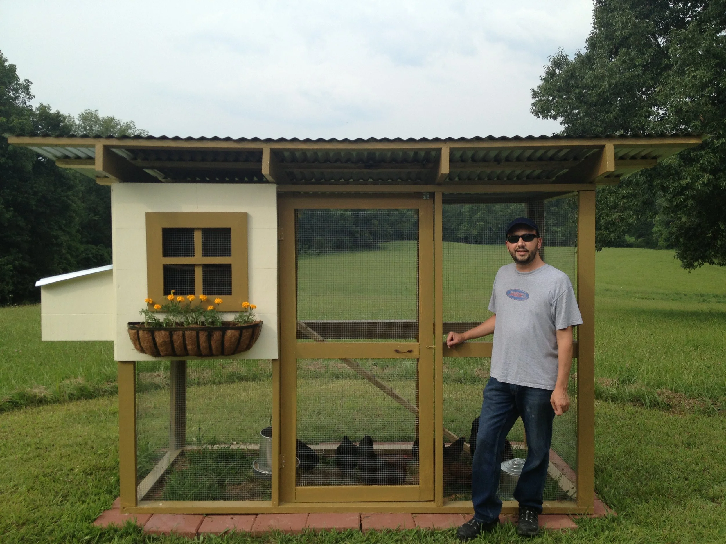 Rescue Chickens…with baggage