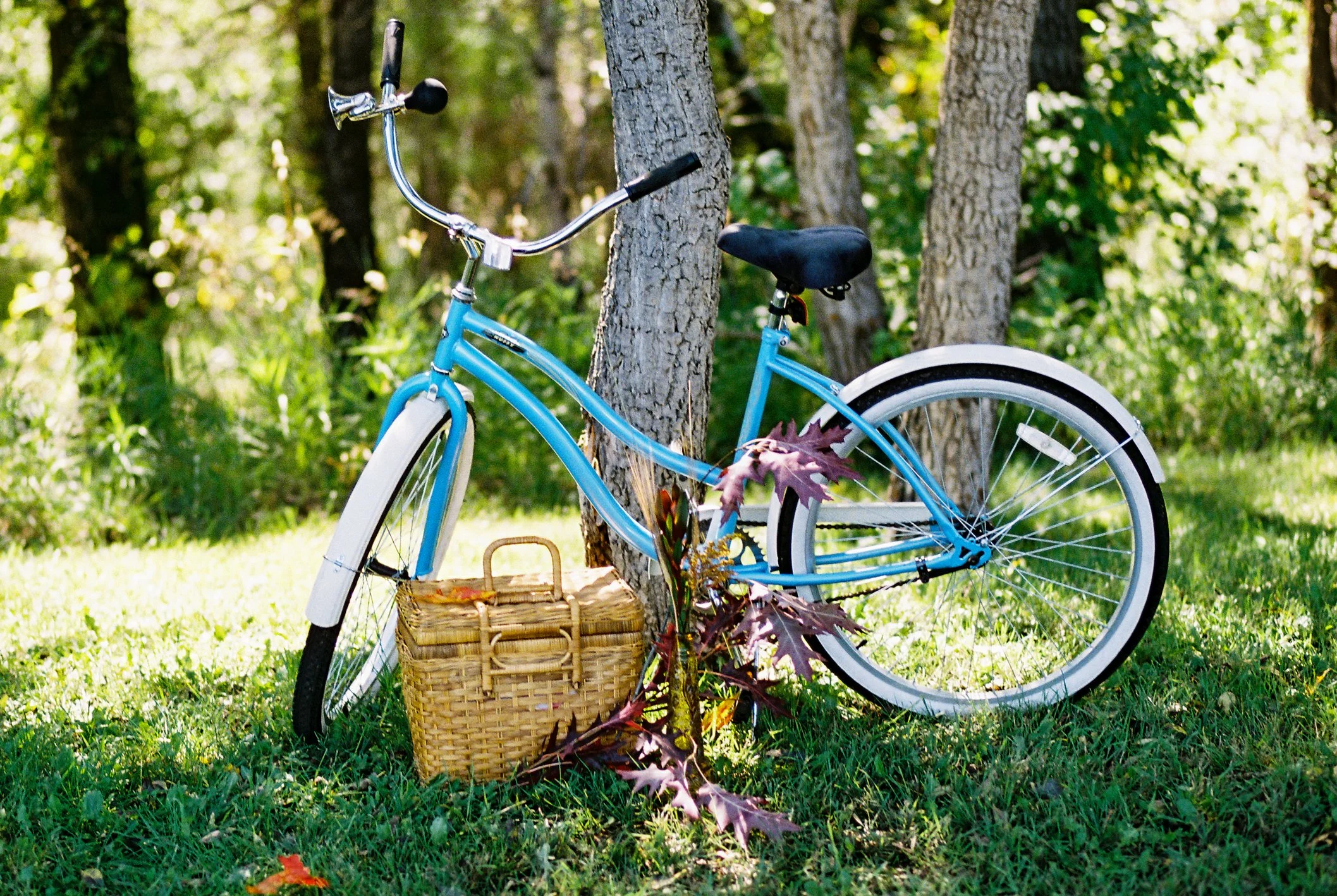 A blue bicycle with a wicker basket resting against a tree in a park or forest setting, with fallen leaves on the grass.