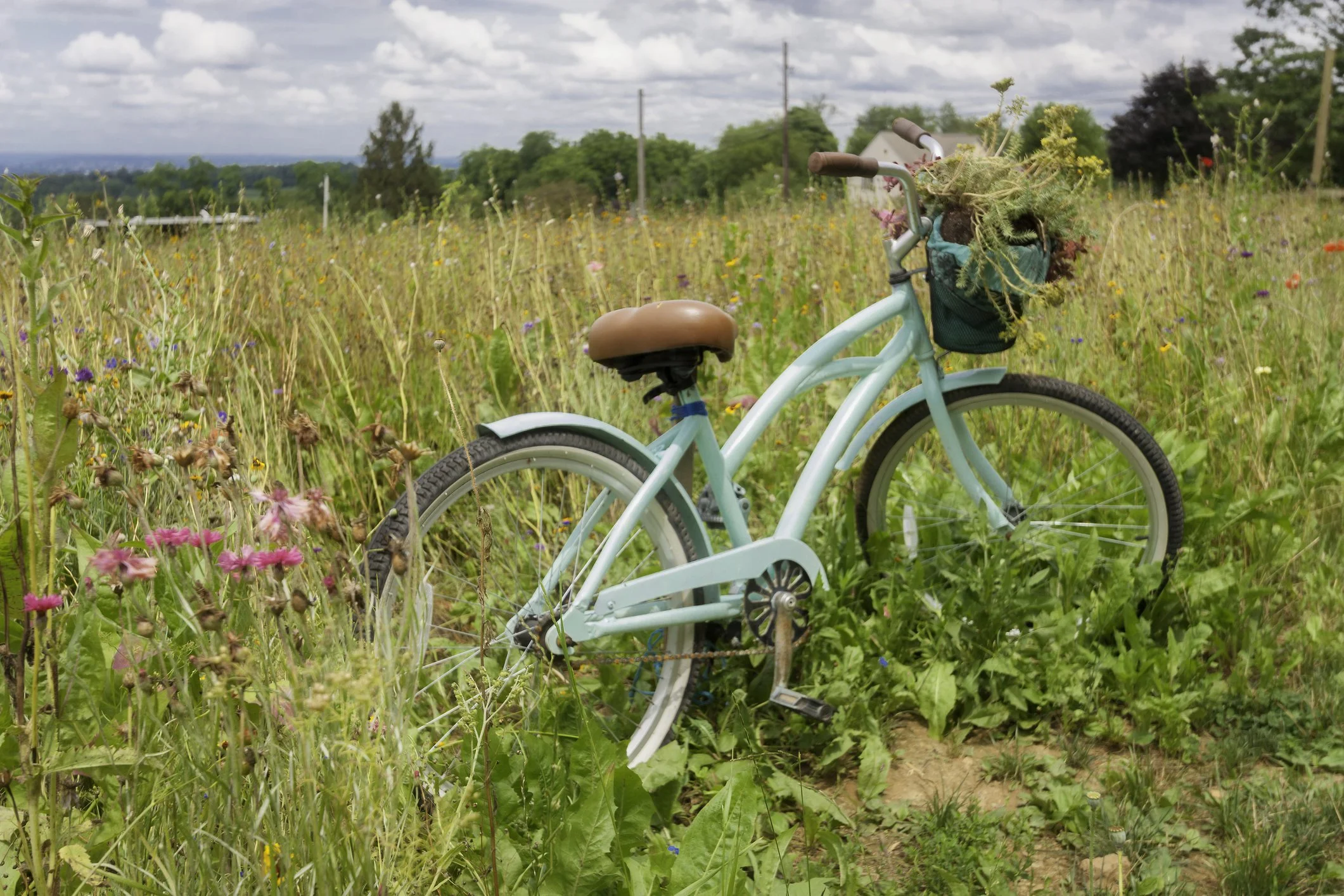 A light blue bicycle with a brown seat and brown handle grips is parked in a field of wildflowers under cloudy sky, with trees and houses in the distance.