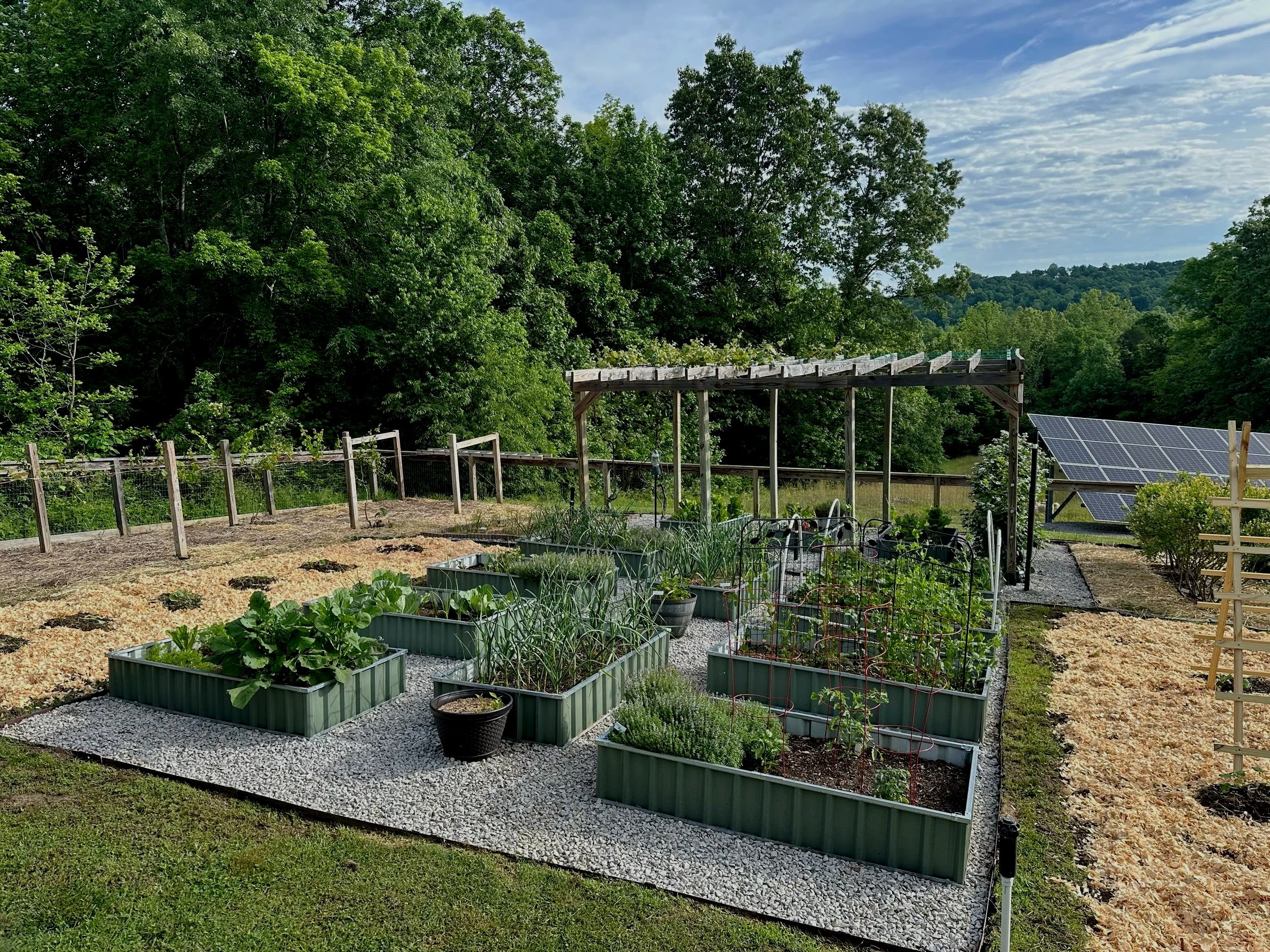 A lush backyard garden with raised beds of vegetables, a wooden pergola, solar panels, and dense green trees in the background under a partly cloudy sky.