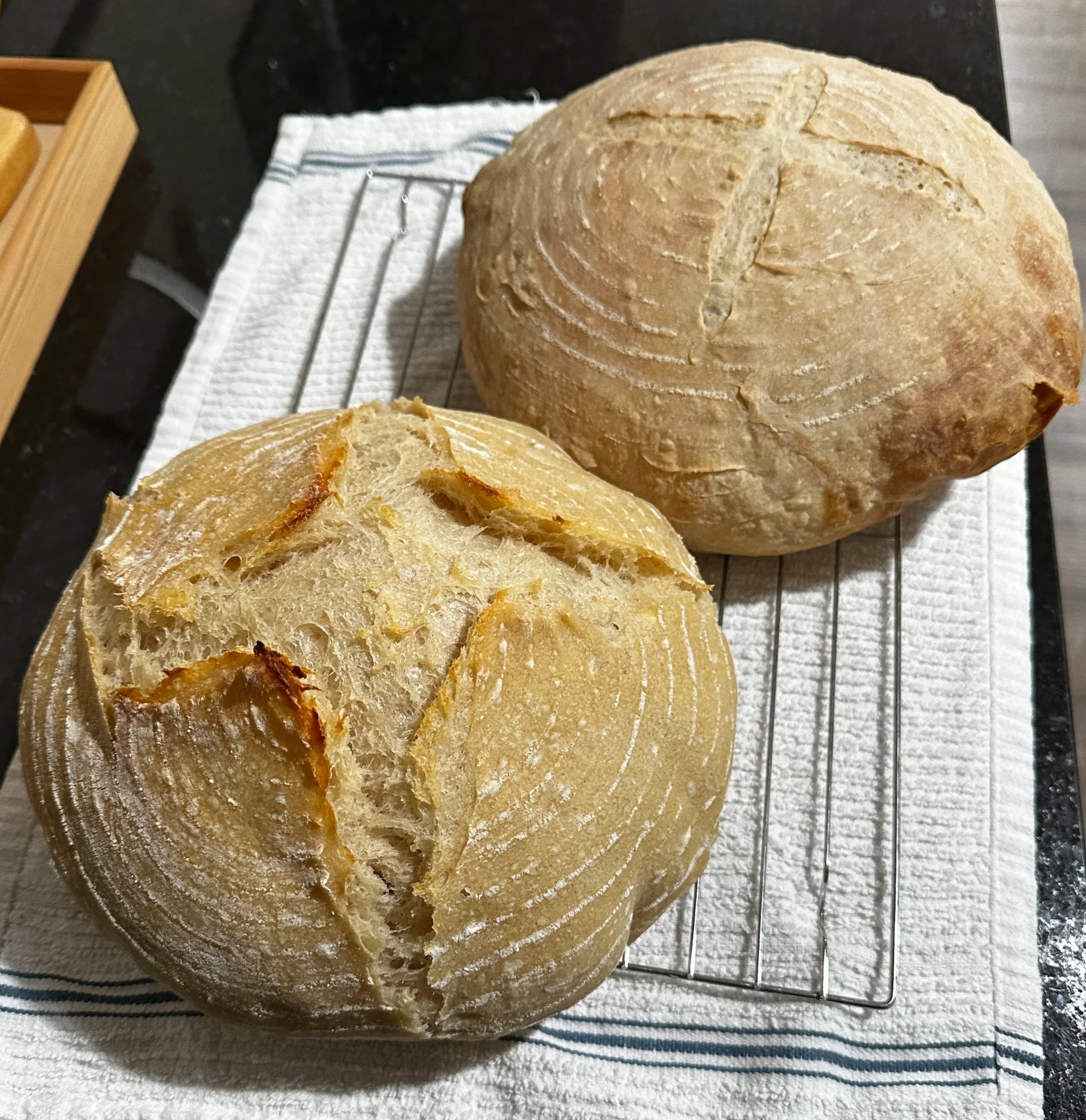 Two homemade sourdough bread loaves