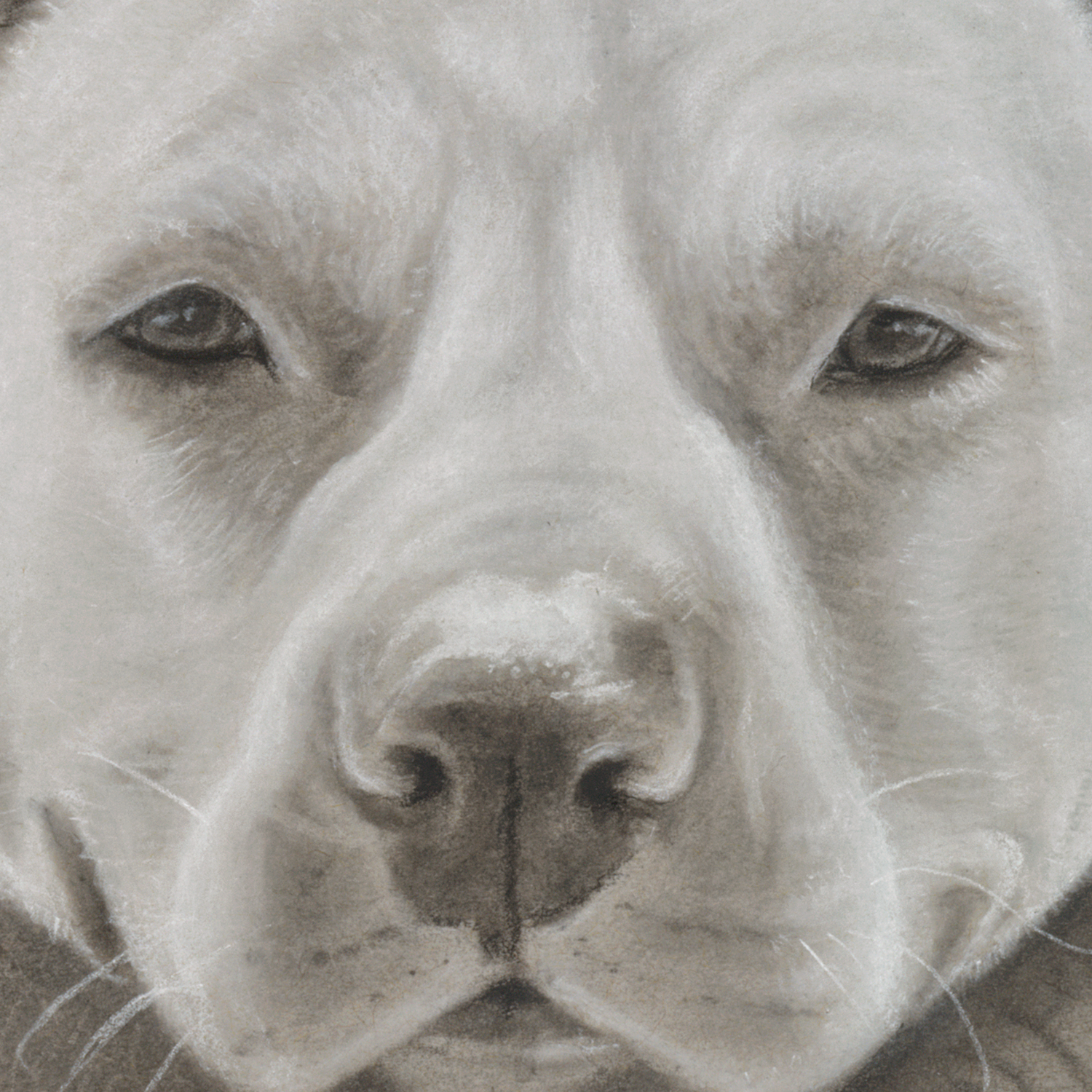 Radio_CloseUp.png