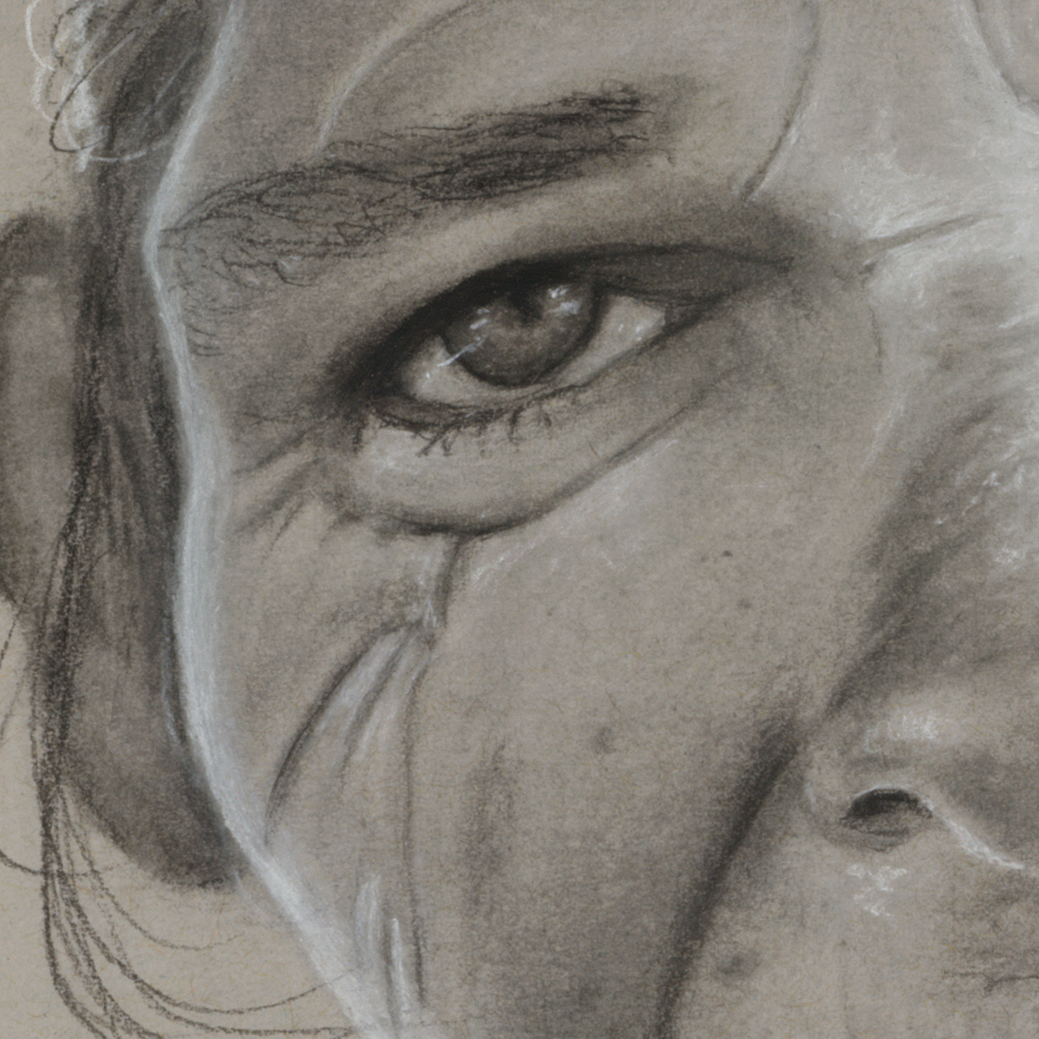 Katie_CloseUp.png