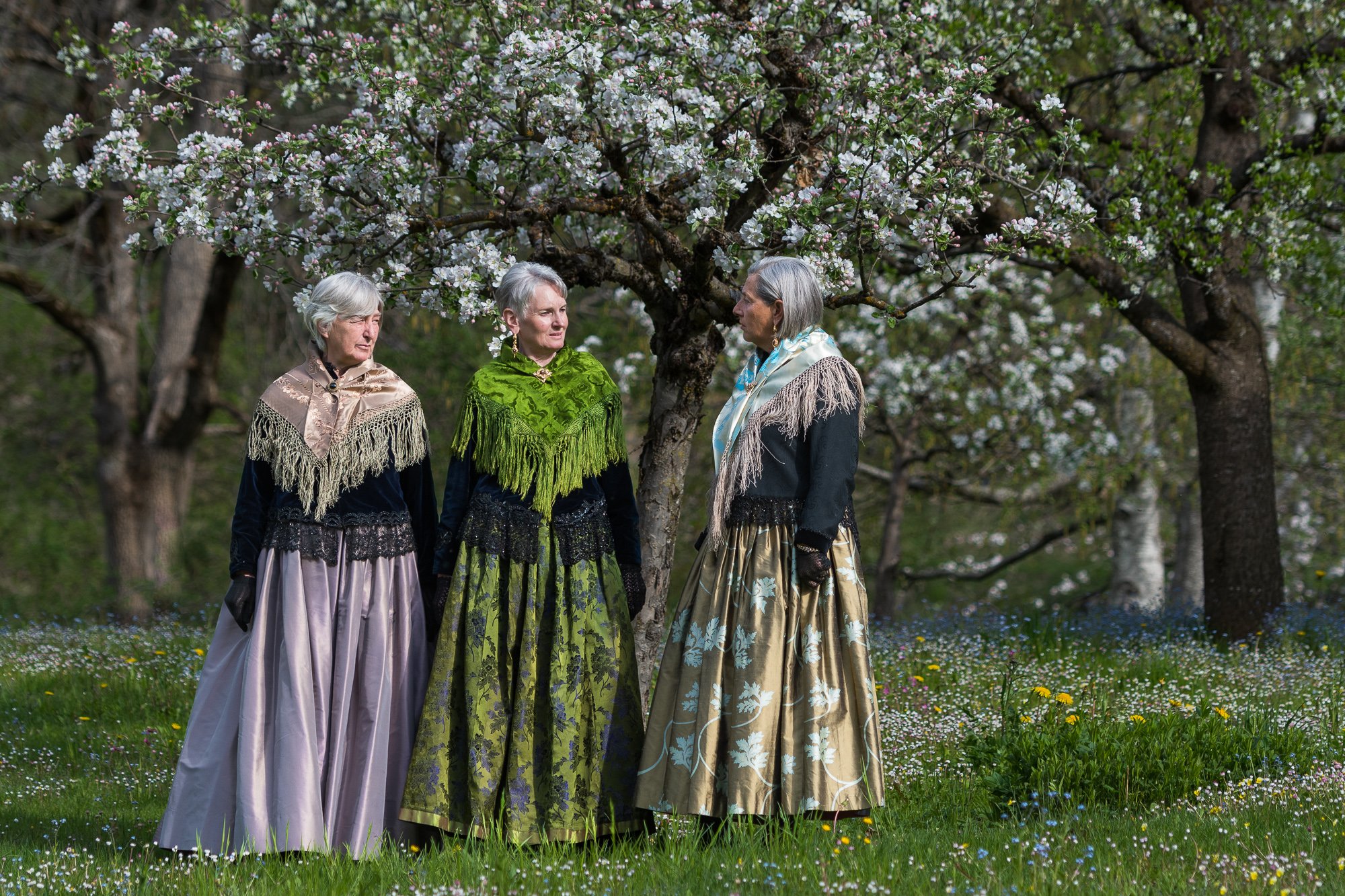 Apfelblüte
