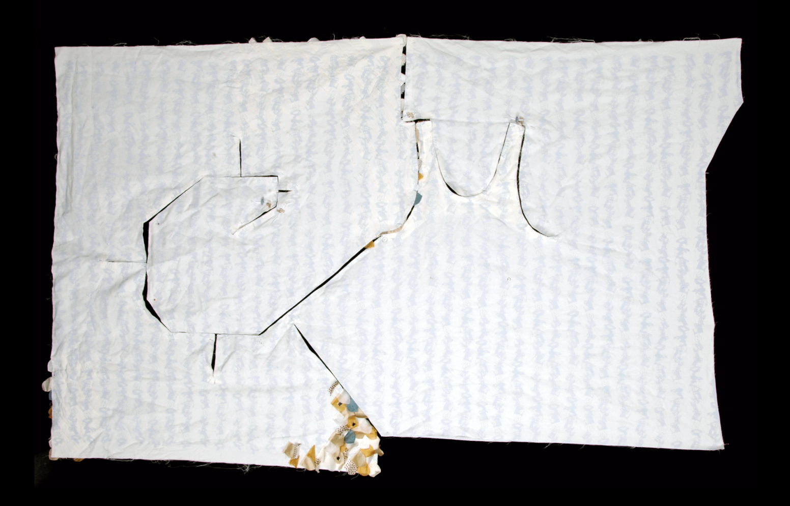 First Son. Masters Thesis 2005