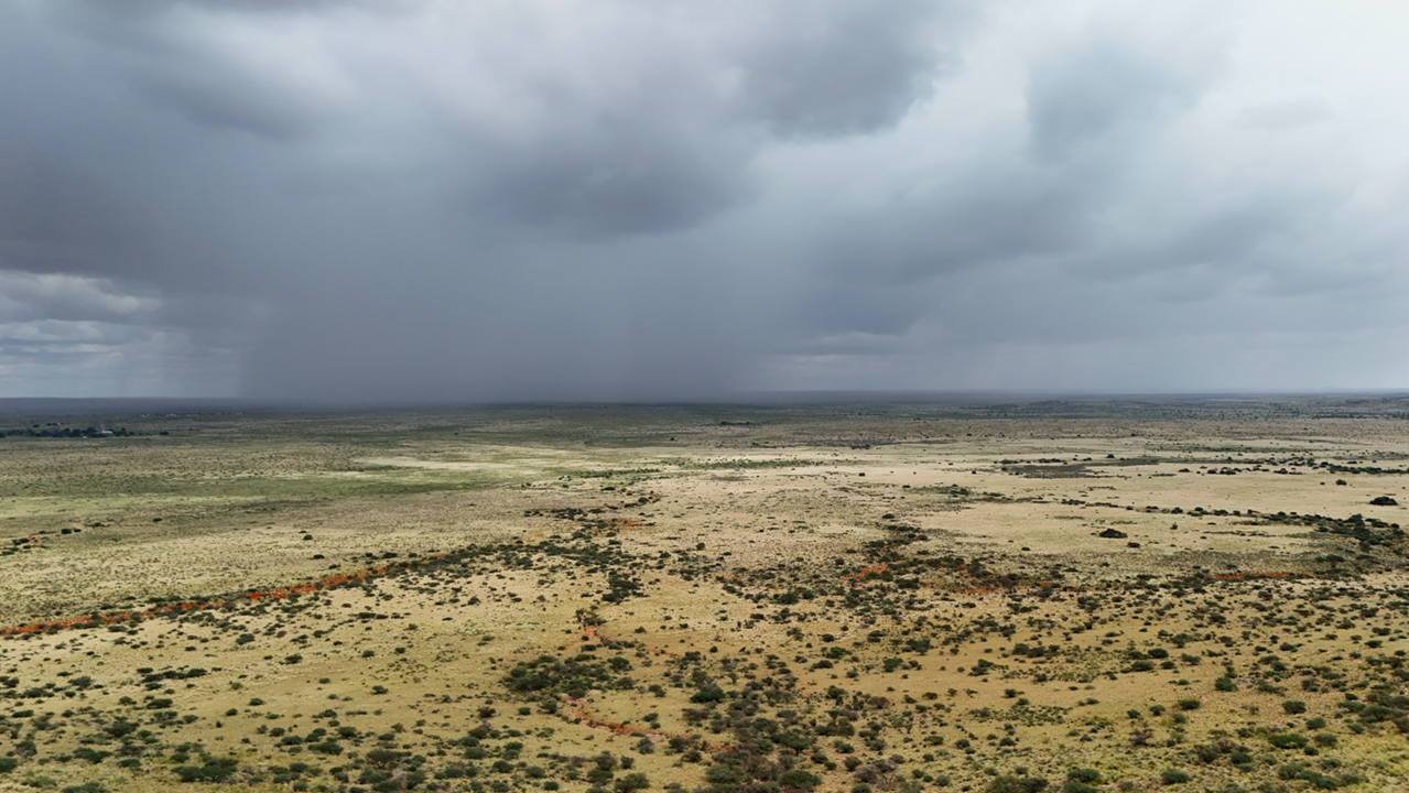 Farm Sales in the Upington Area: New Opportunities After Good Rains
