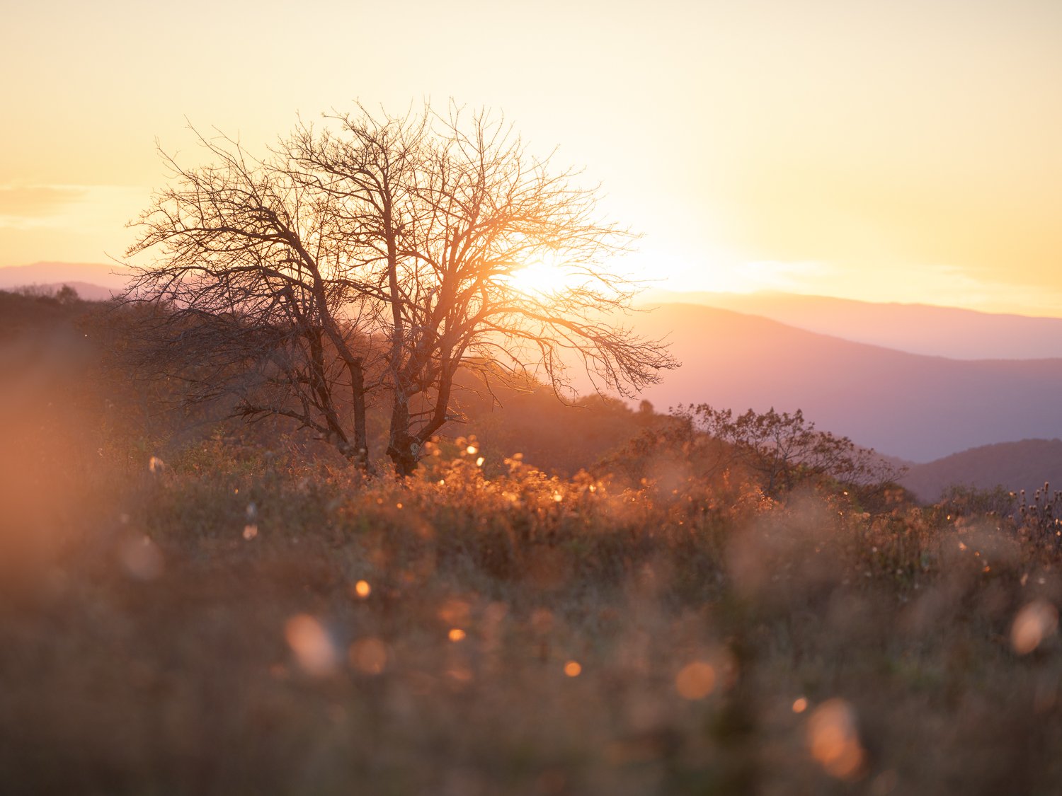 _U5A3696-132-Edit.jpg